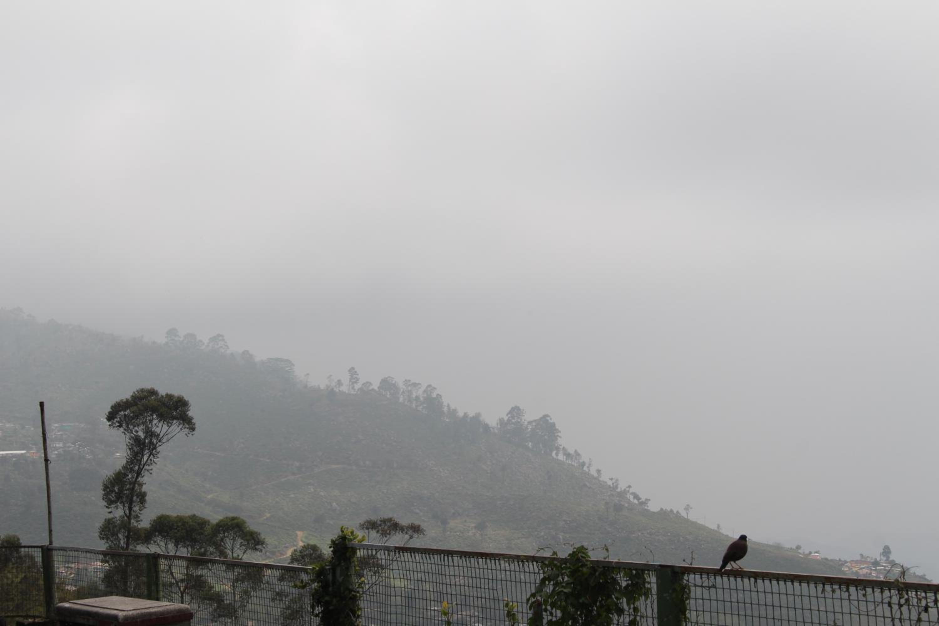 Photo 44