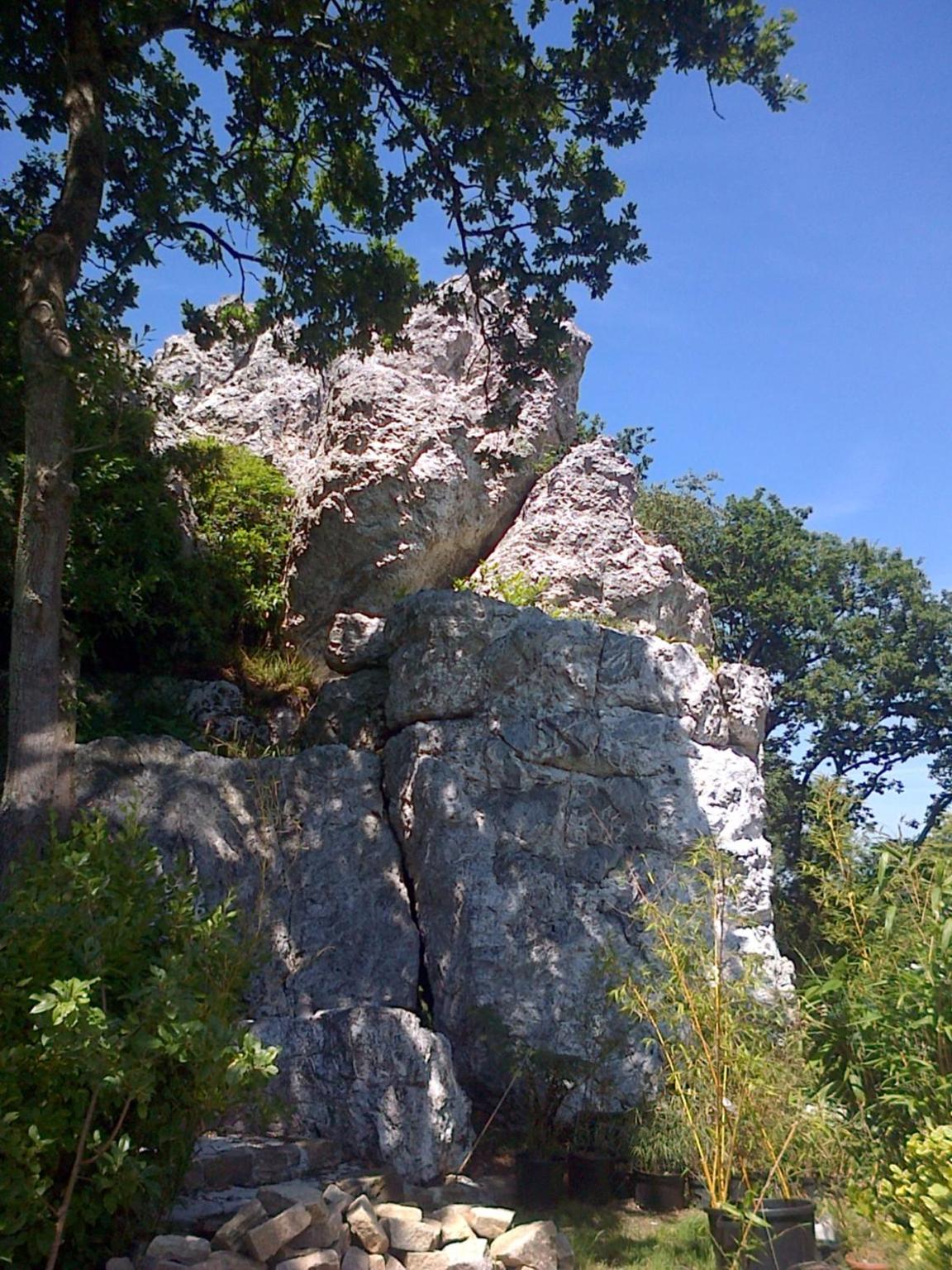 Photo 22