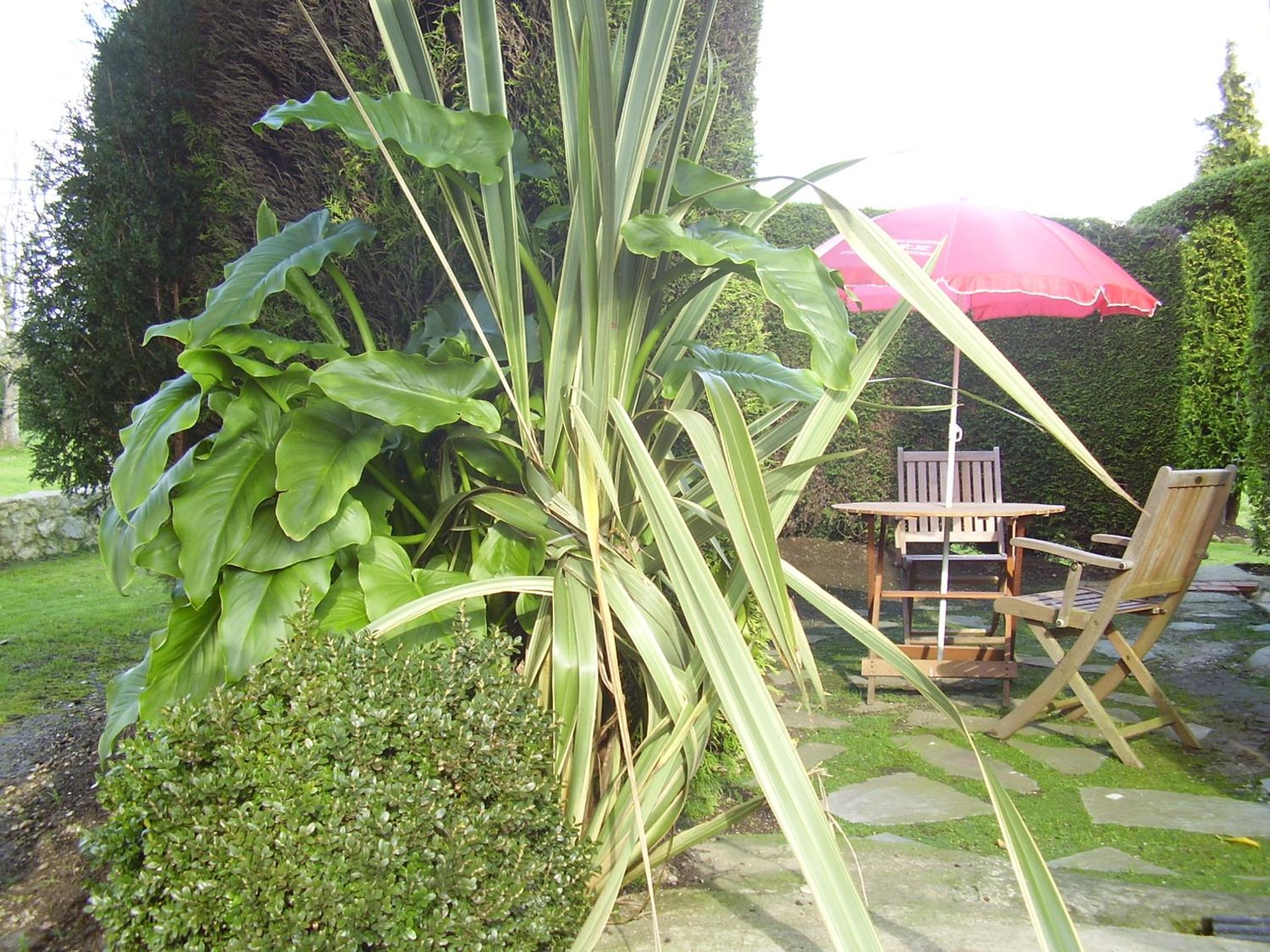 El Magnolio view 4