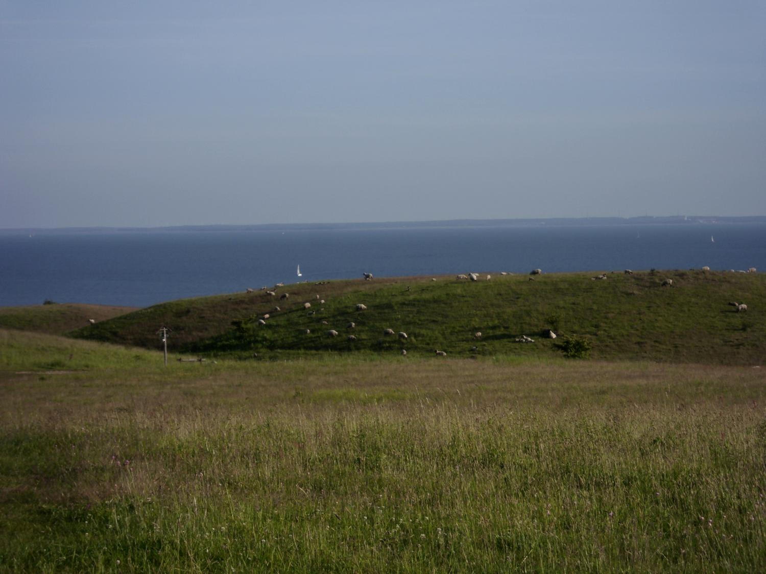 Photo 32