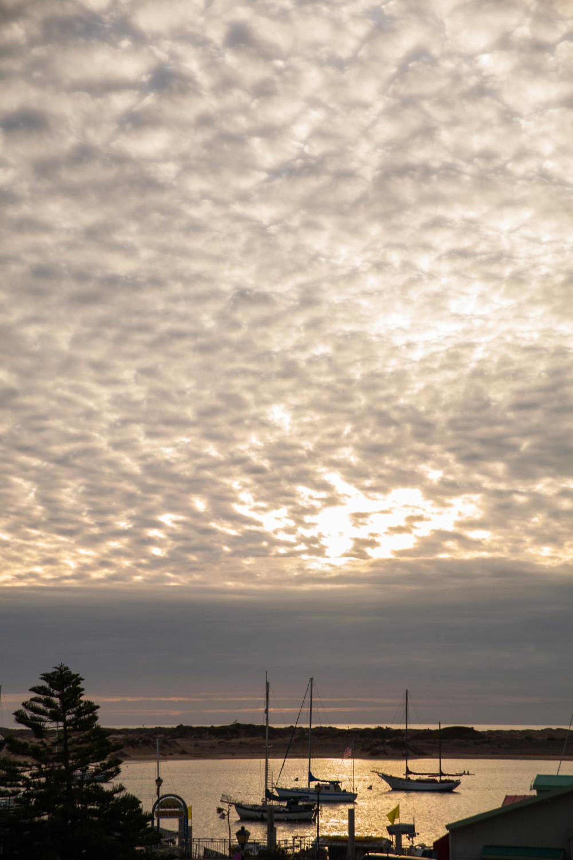 The Landing at Morro Bay, Billede 17