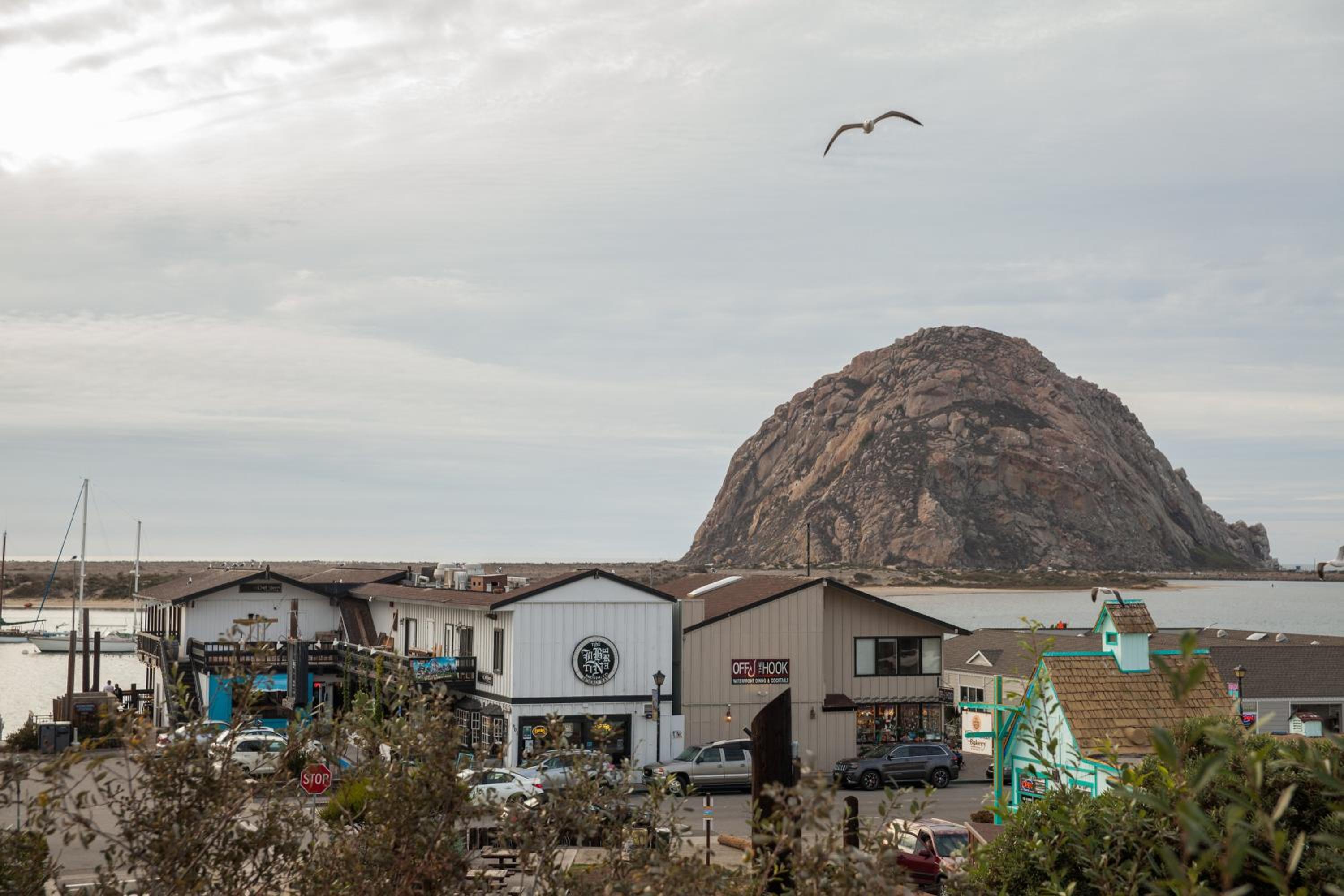 The Landing at Morro Bay, Billede 43