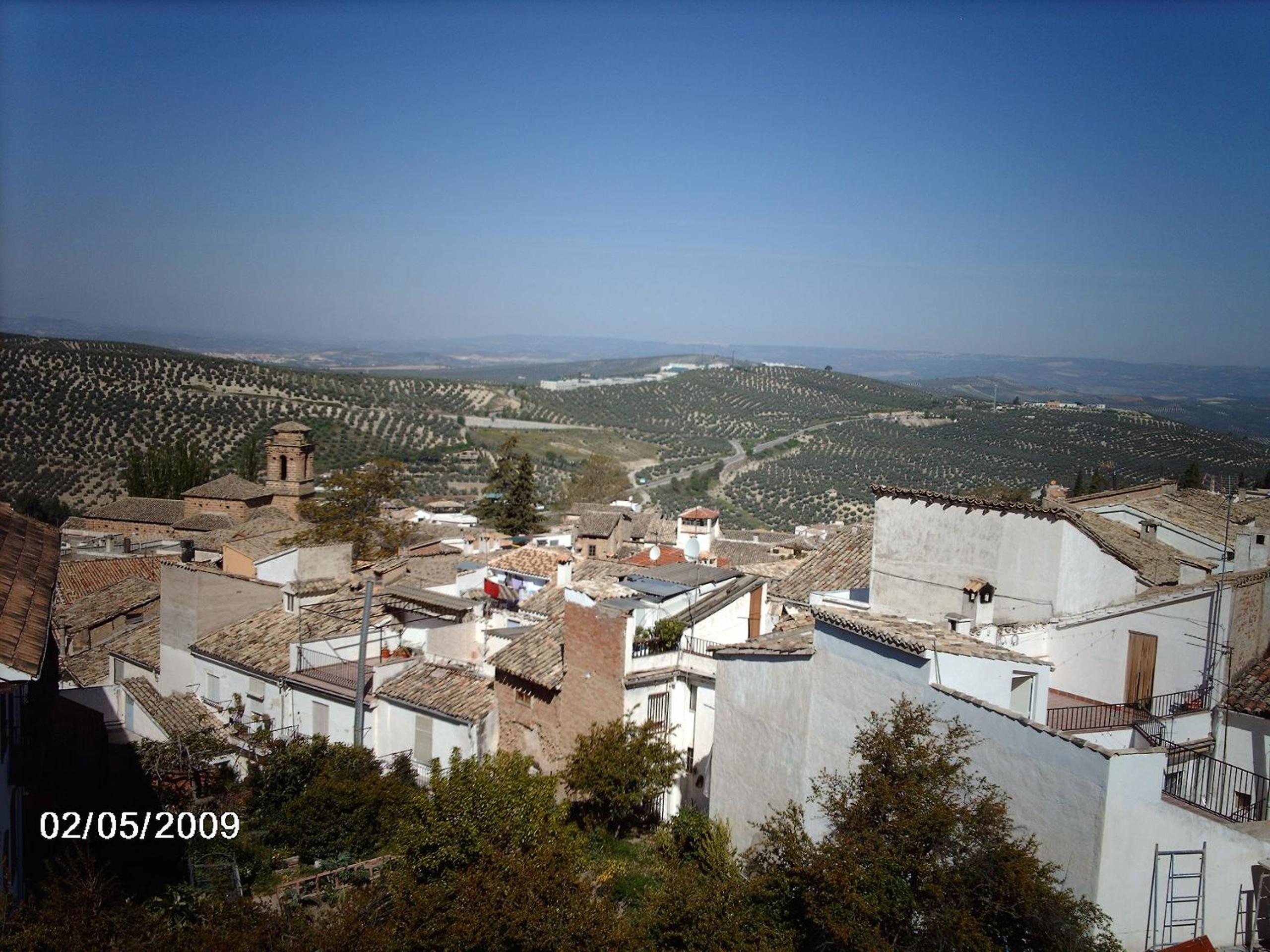Photo 17