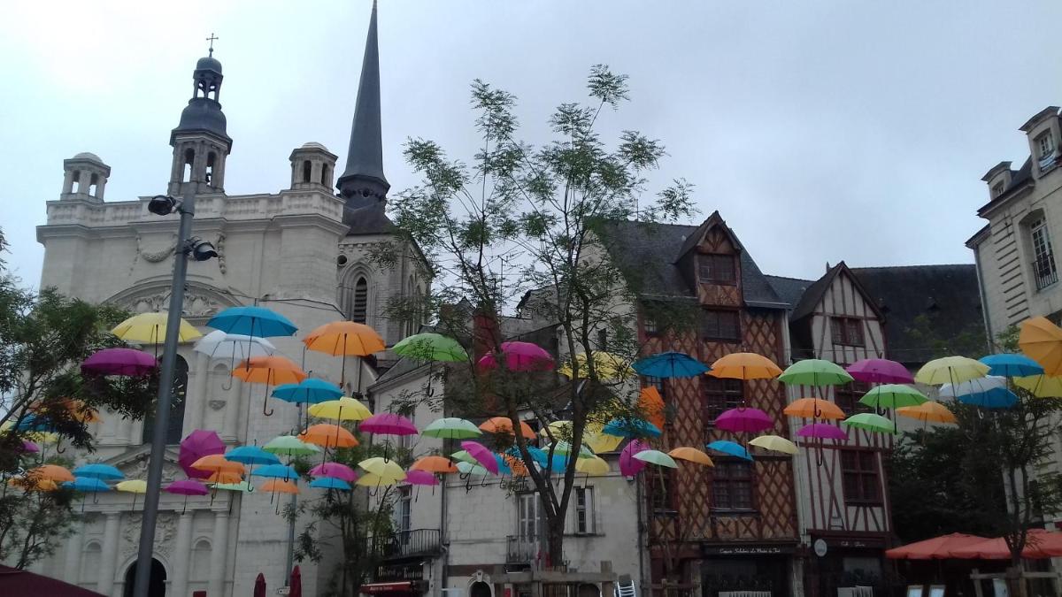 Saumur Loire Chambres et Gîte
