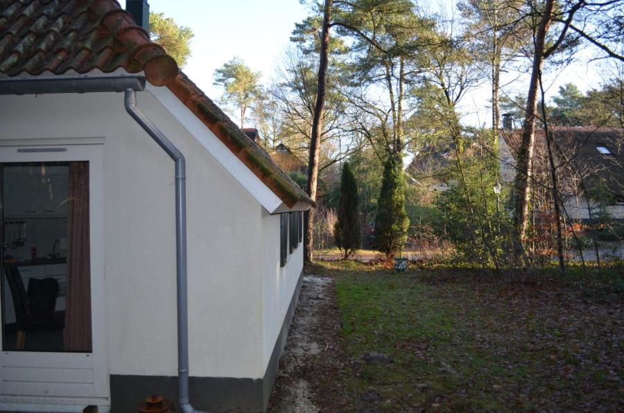 wittebergen25