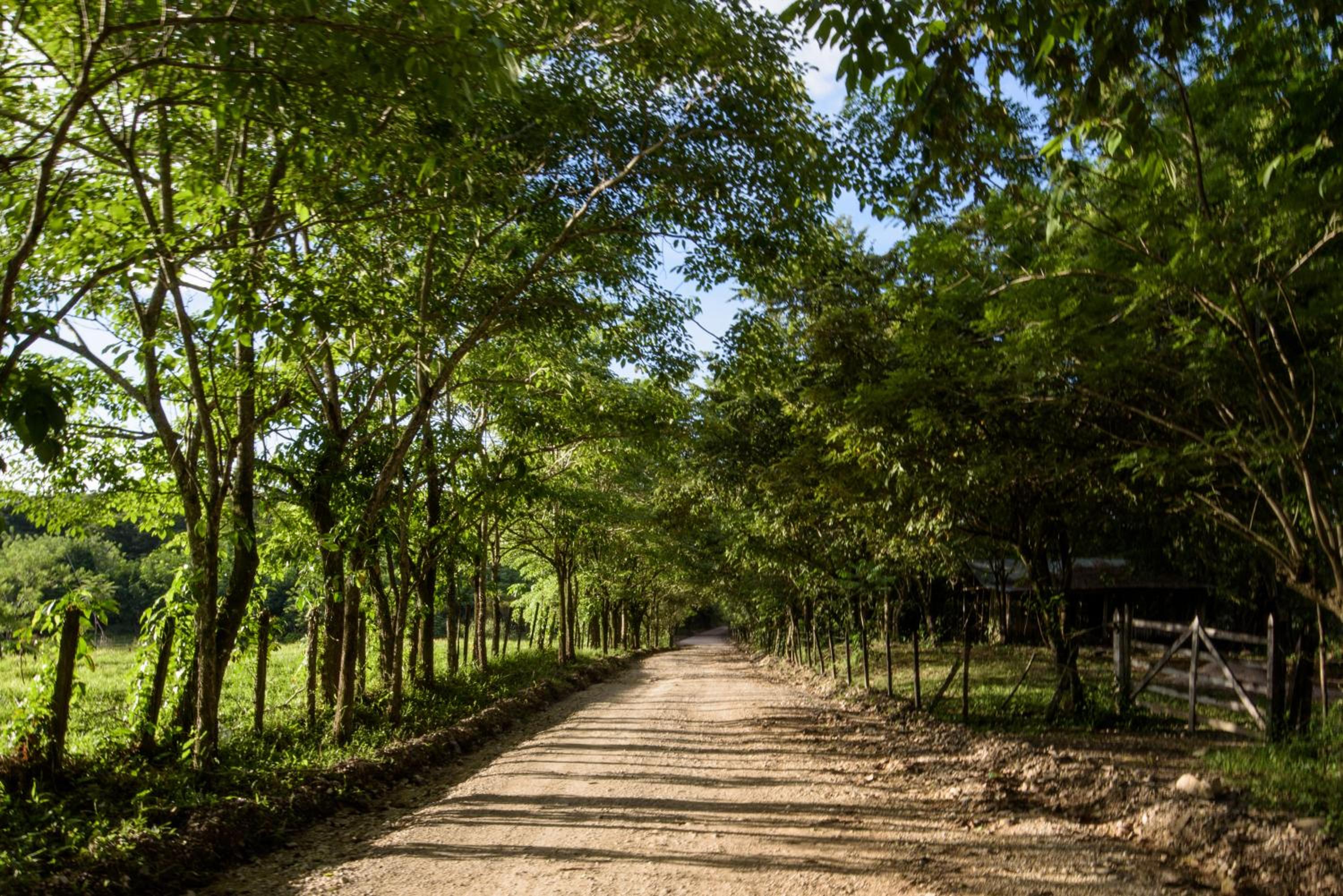 Villas Adriana Wellness Village, Palenque