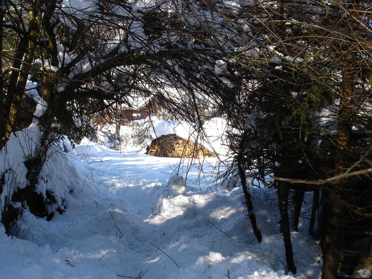 Photo 30