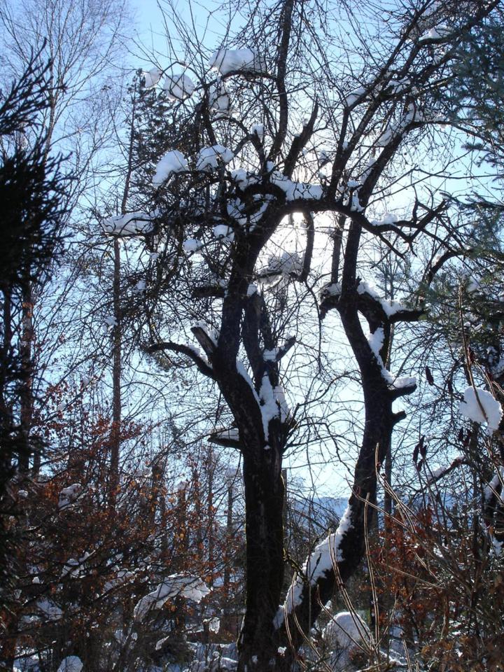 Photo 27