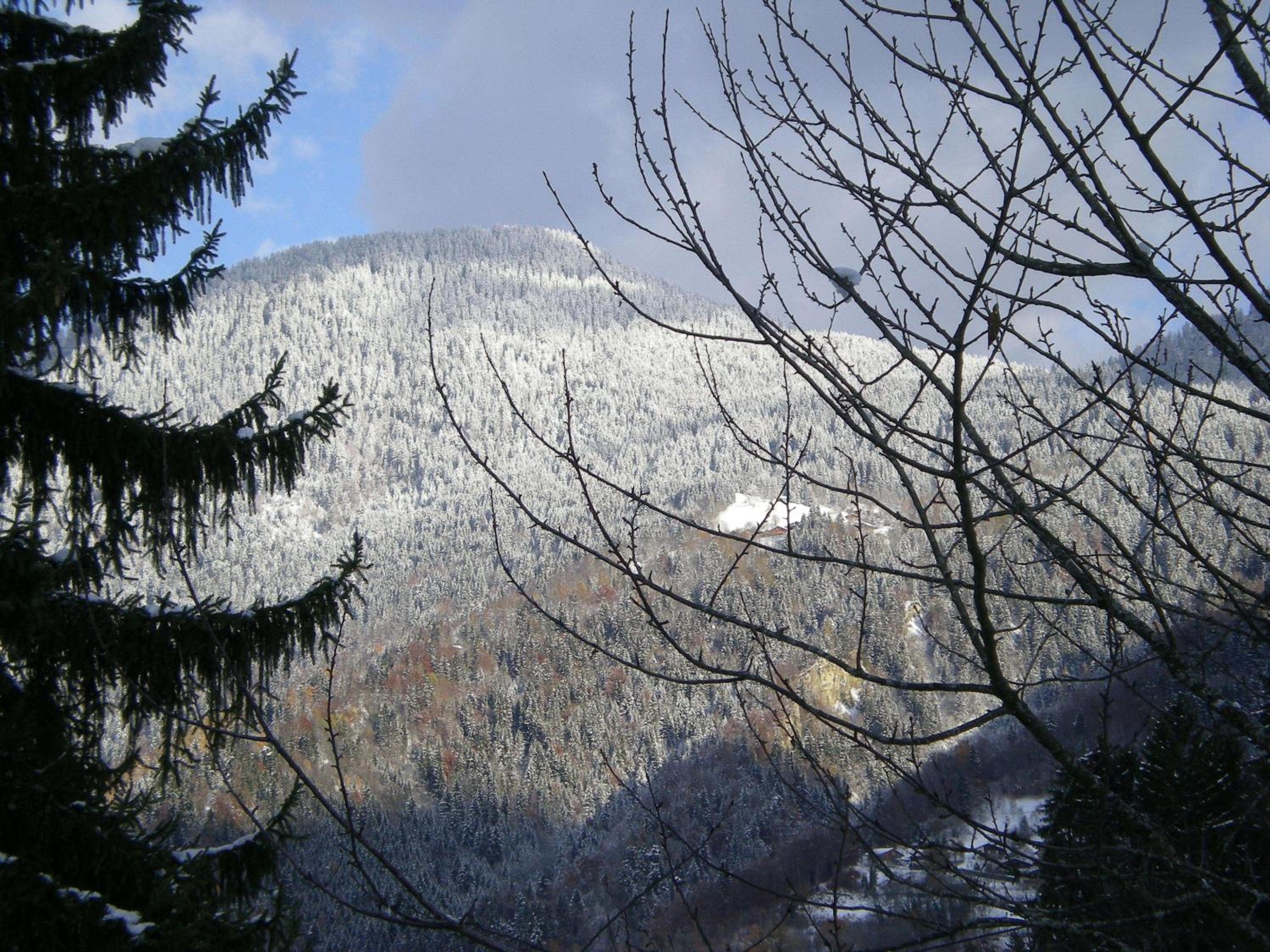 Le Caribou, photo 16