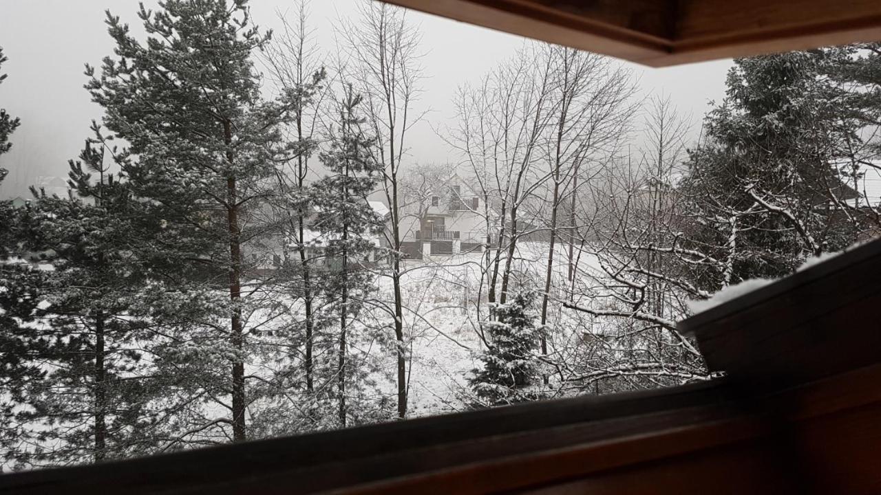 Photo 50