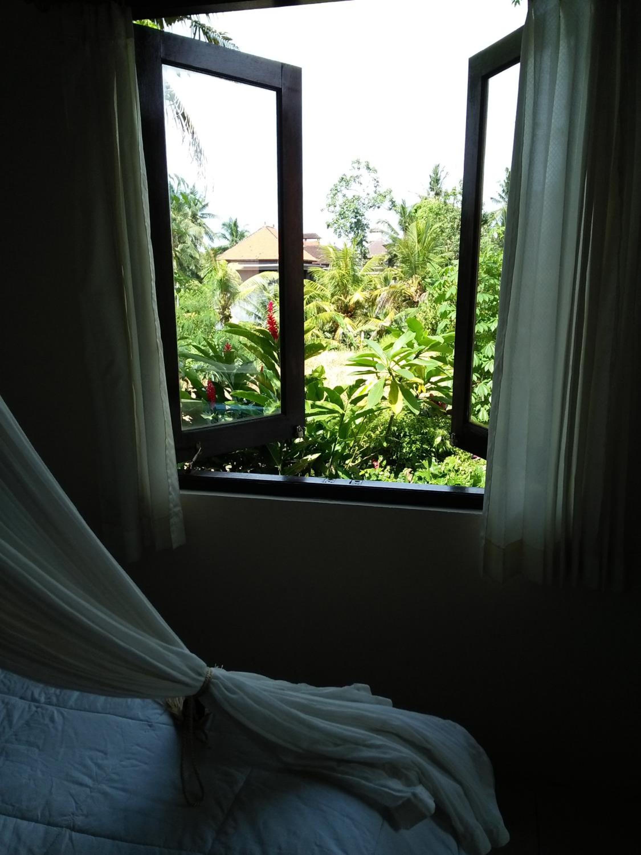 Wonder-Land Villa view 4