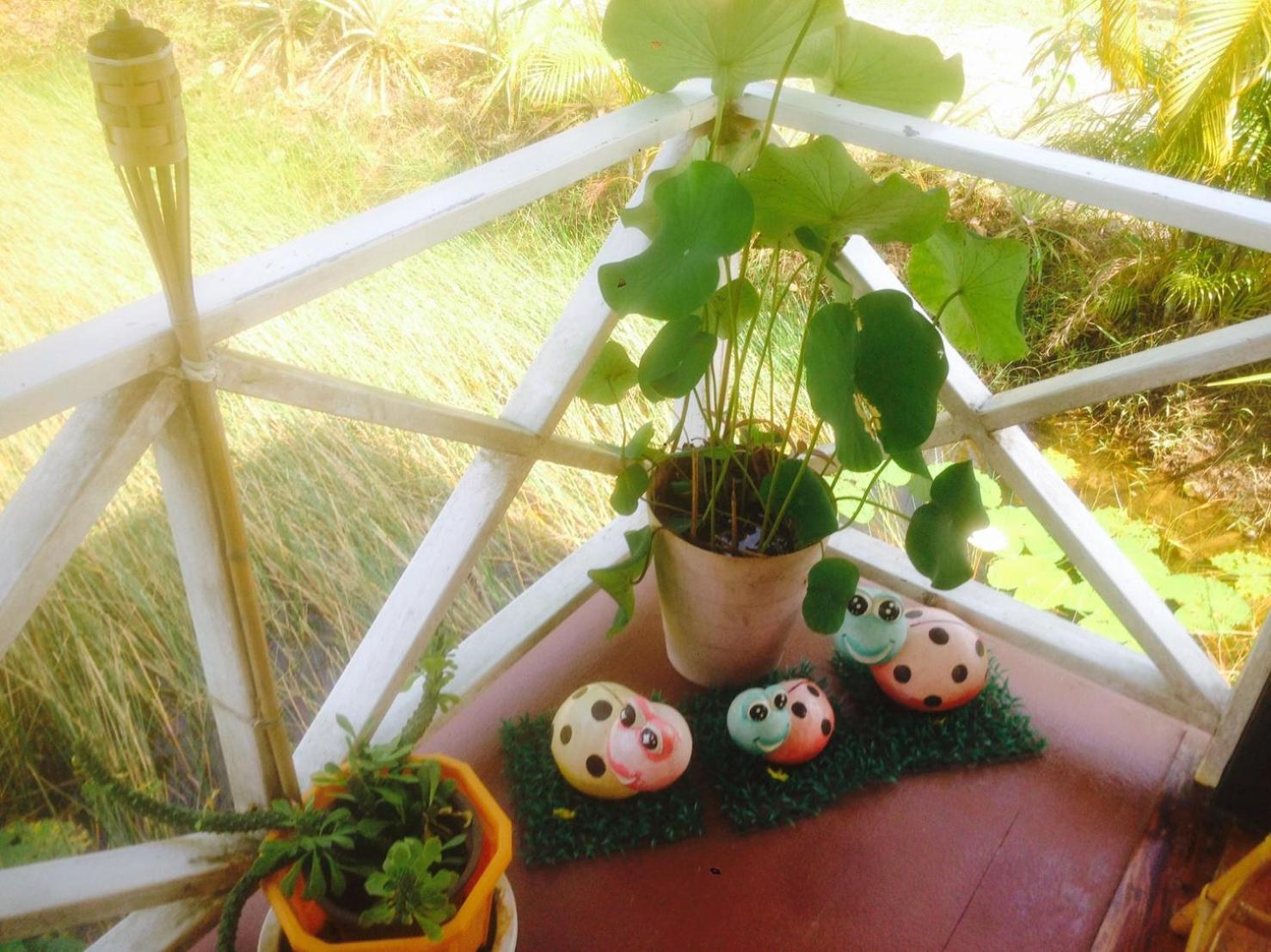 Ariya Garden Home