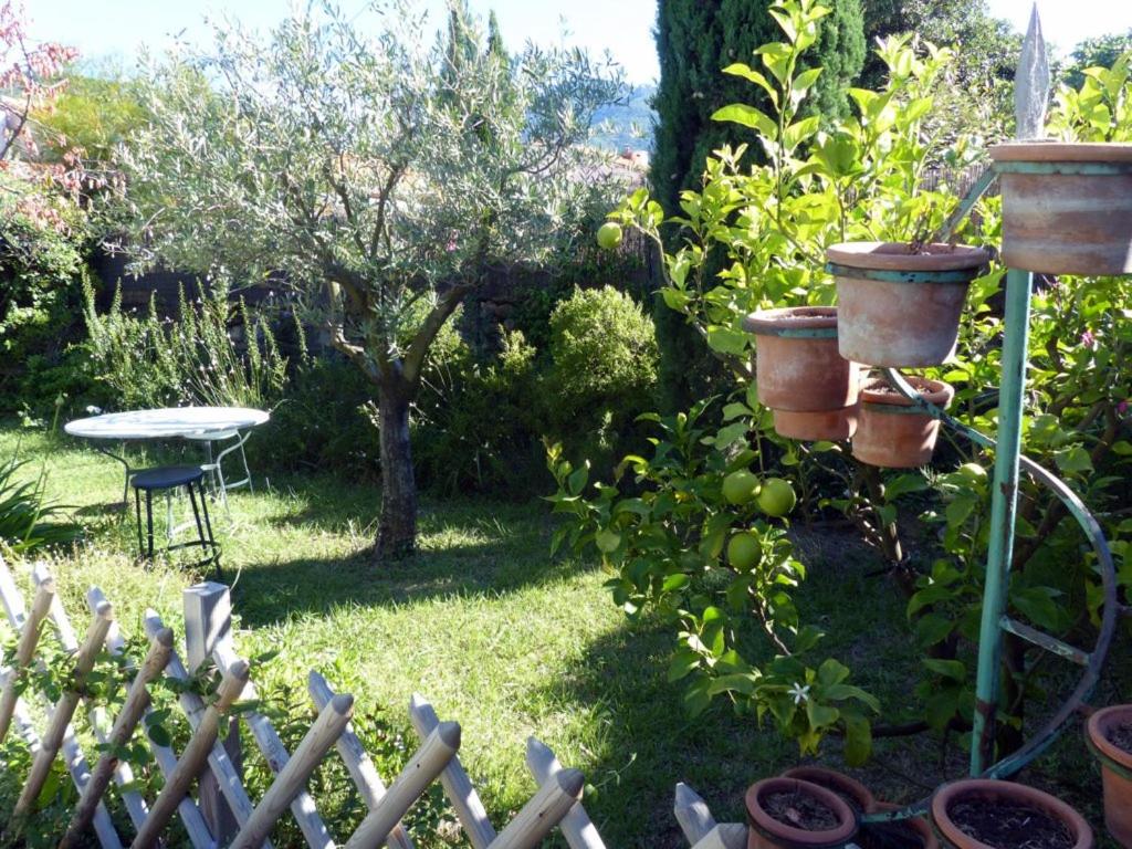 casa-tena