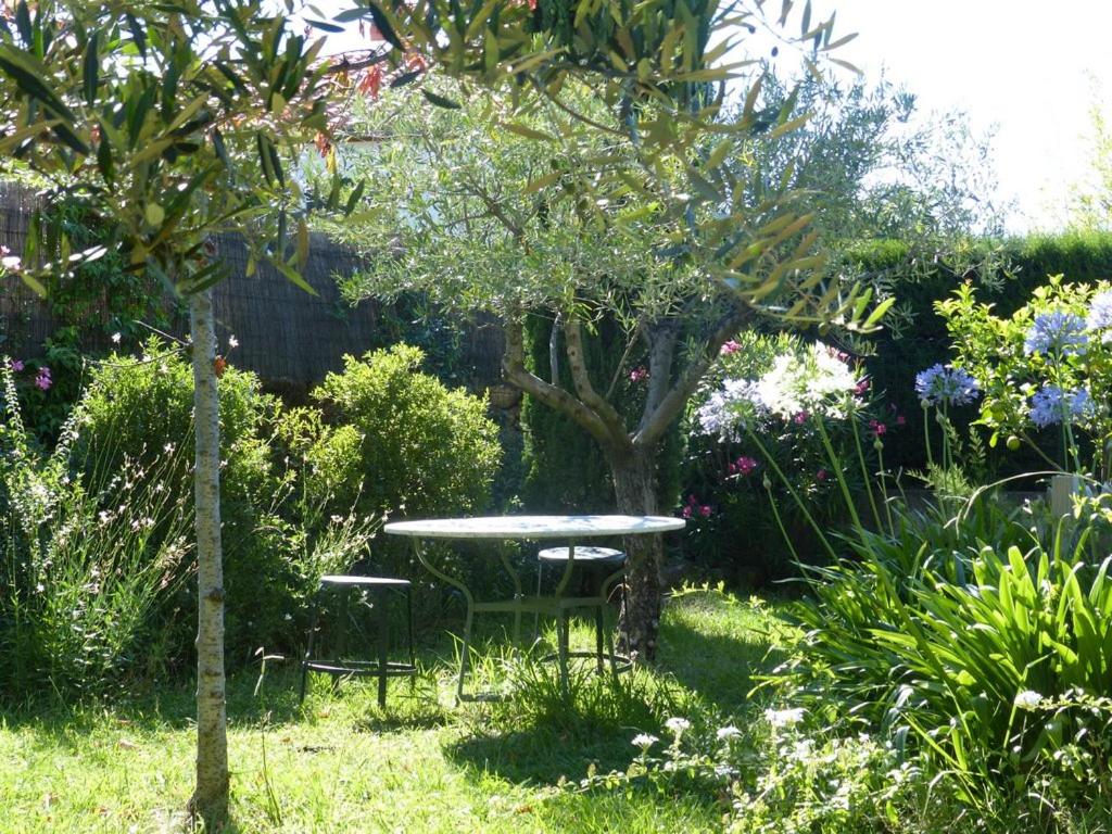 casa-tena