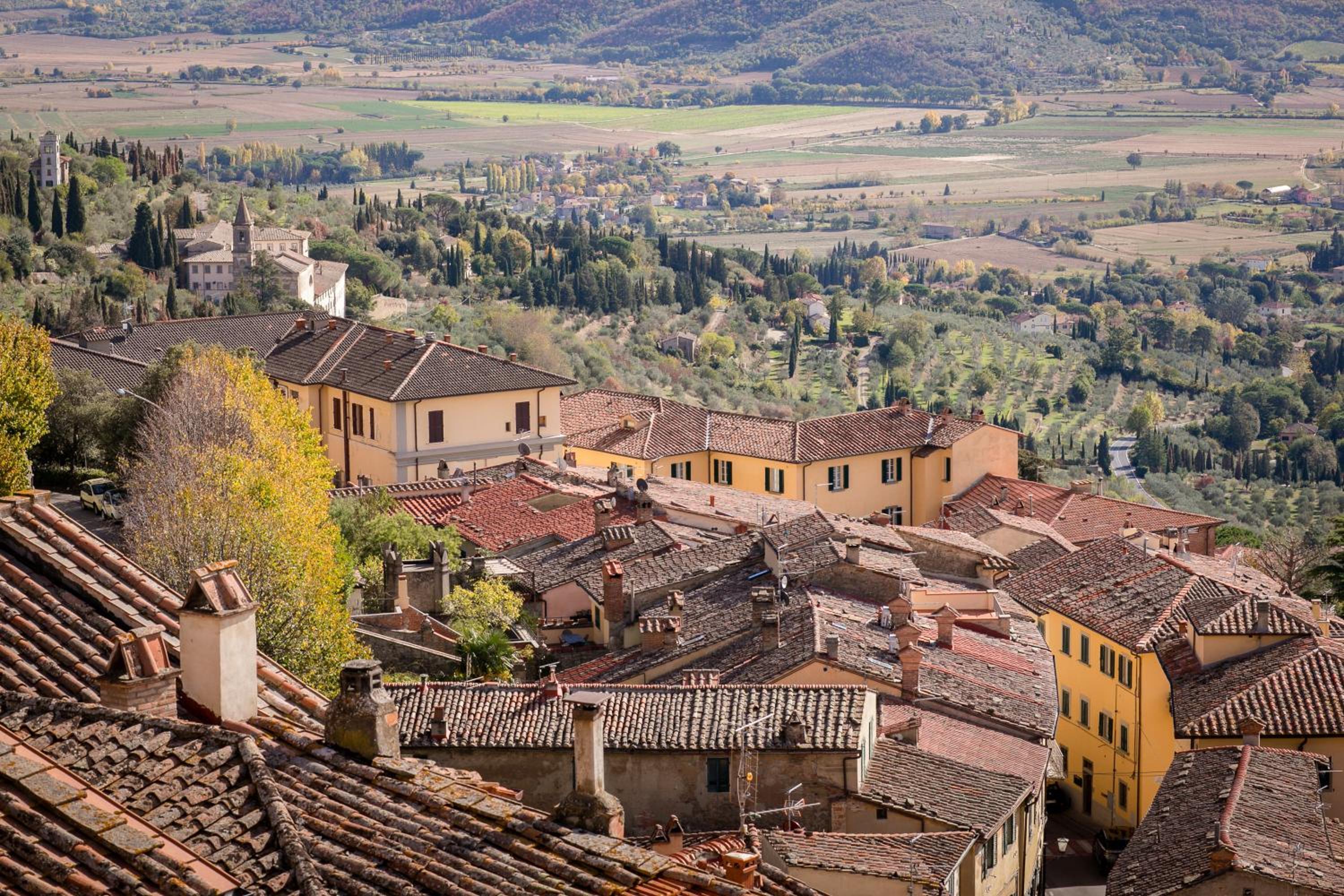 Panorama