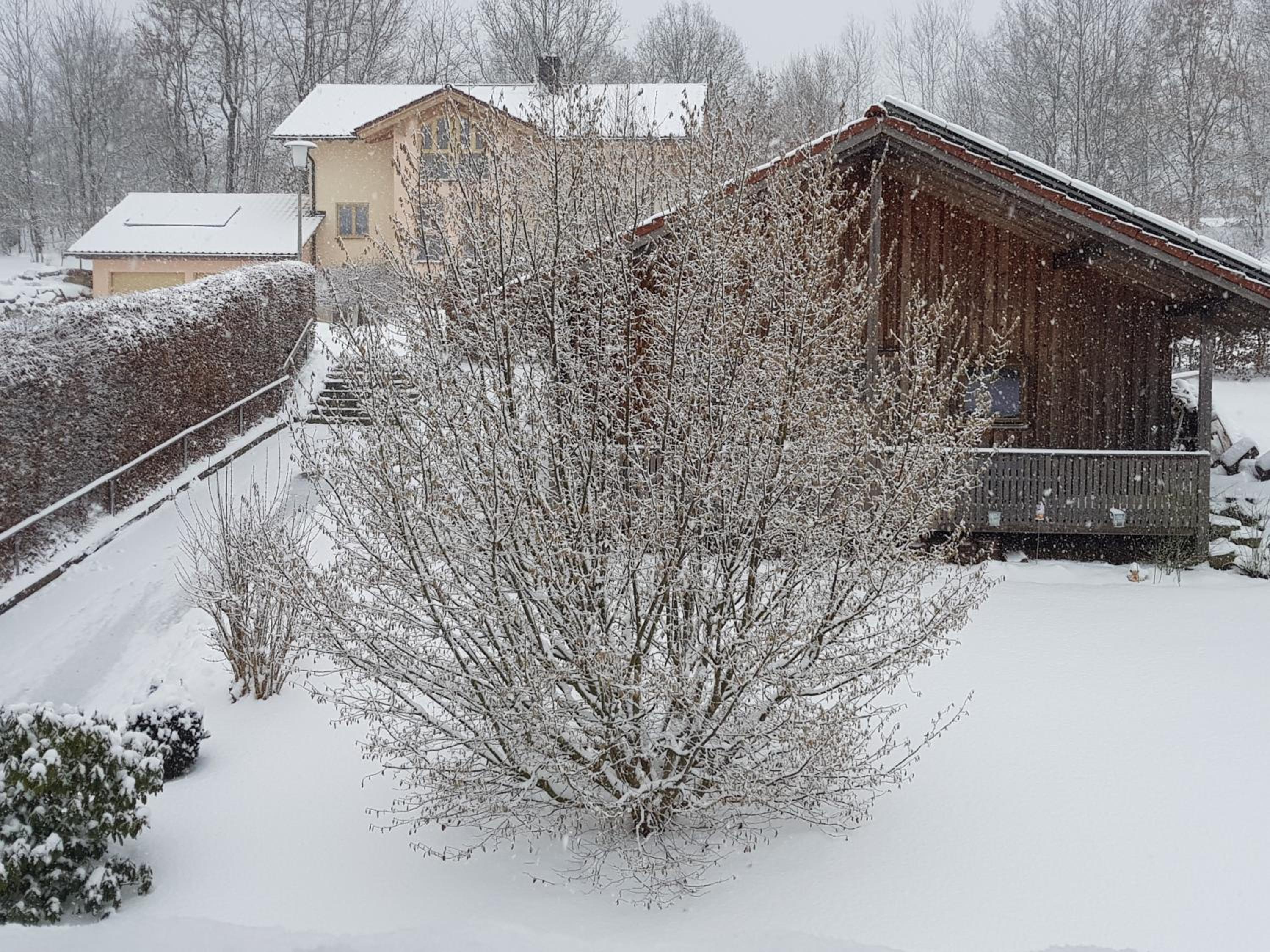 Ferienhaus Weps view 4