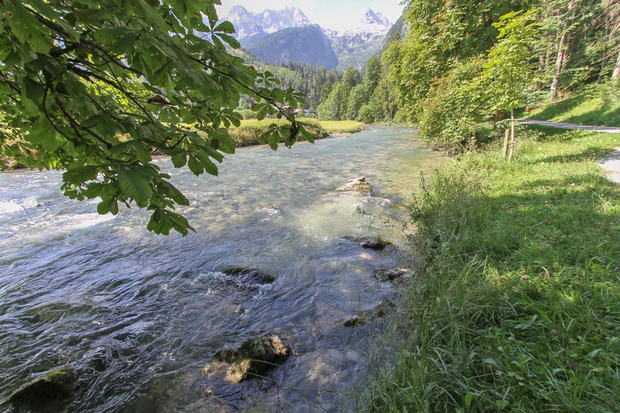 Photo 25