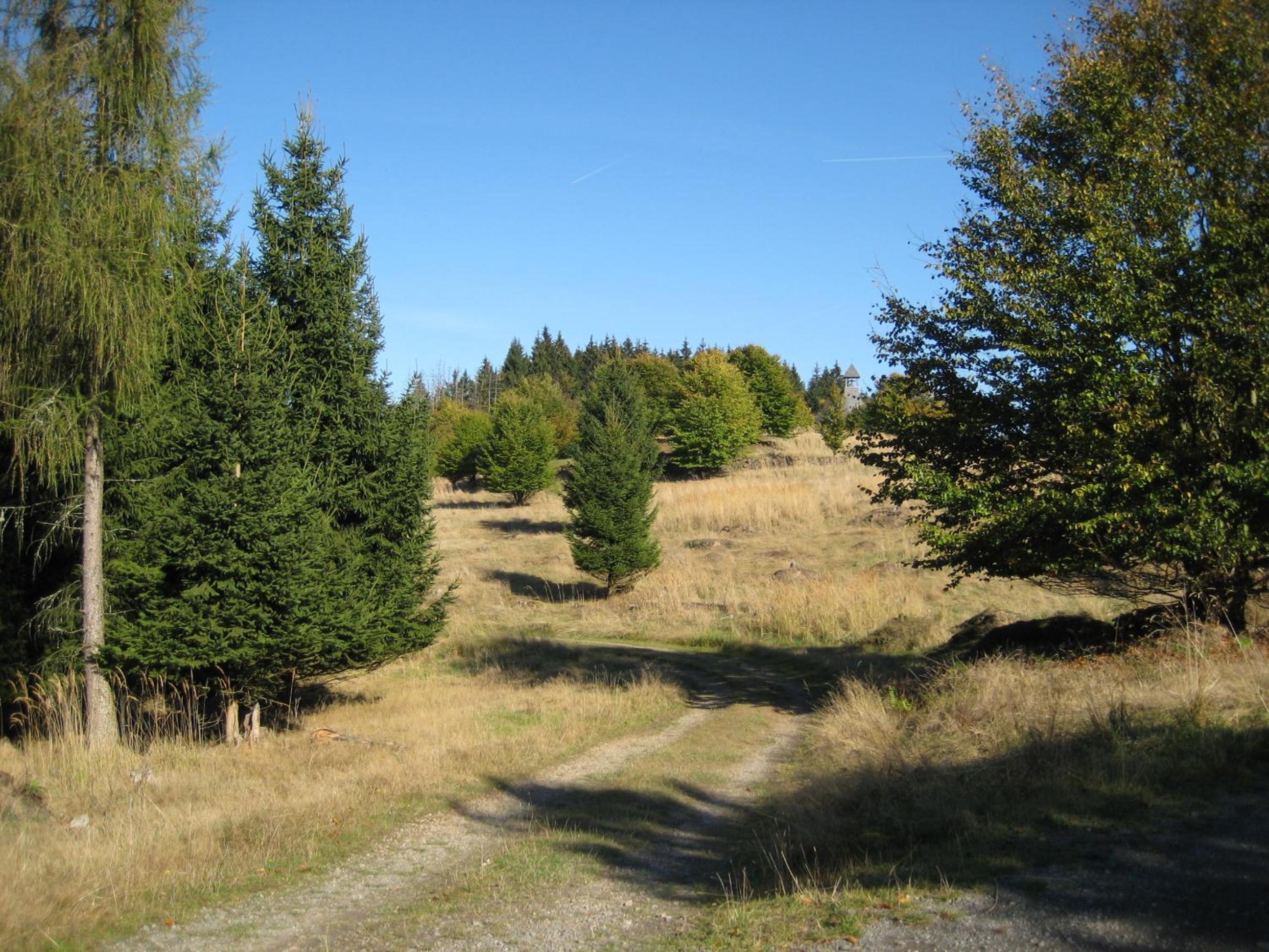 HuizeFrankenau
