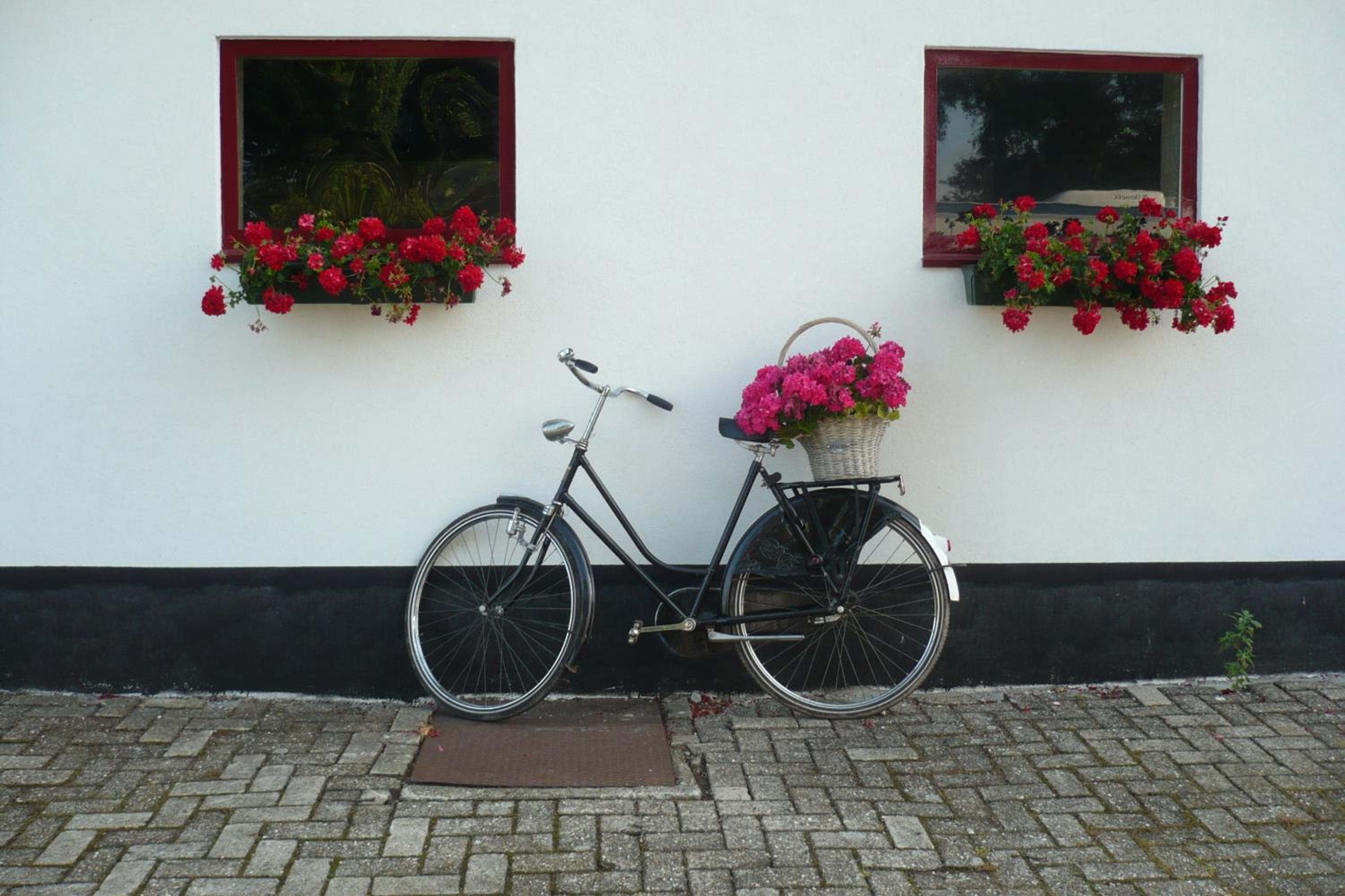 Ferienbauernhof De Slaaphoeve