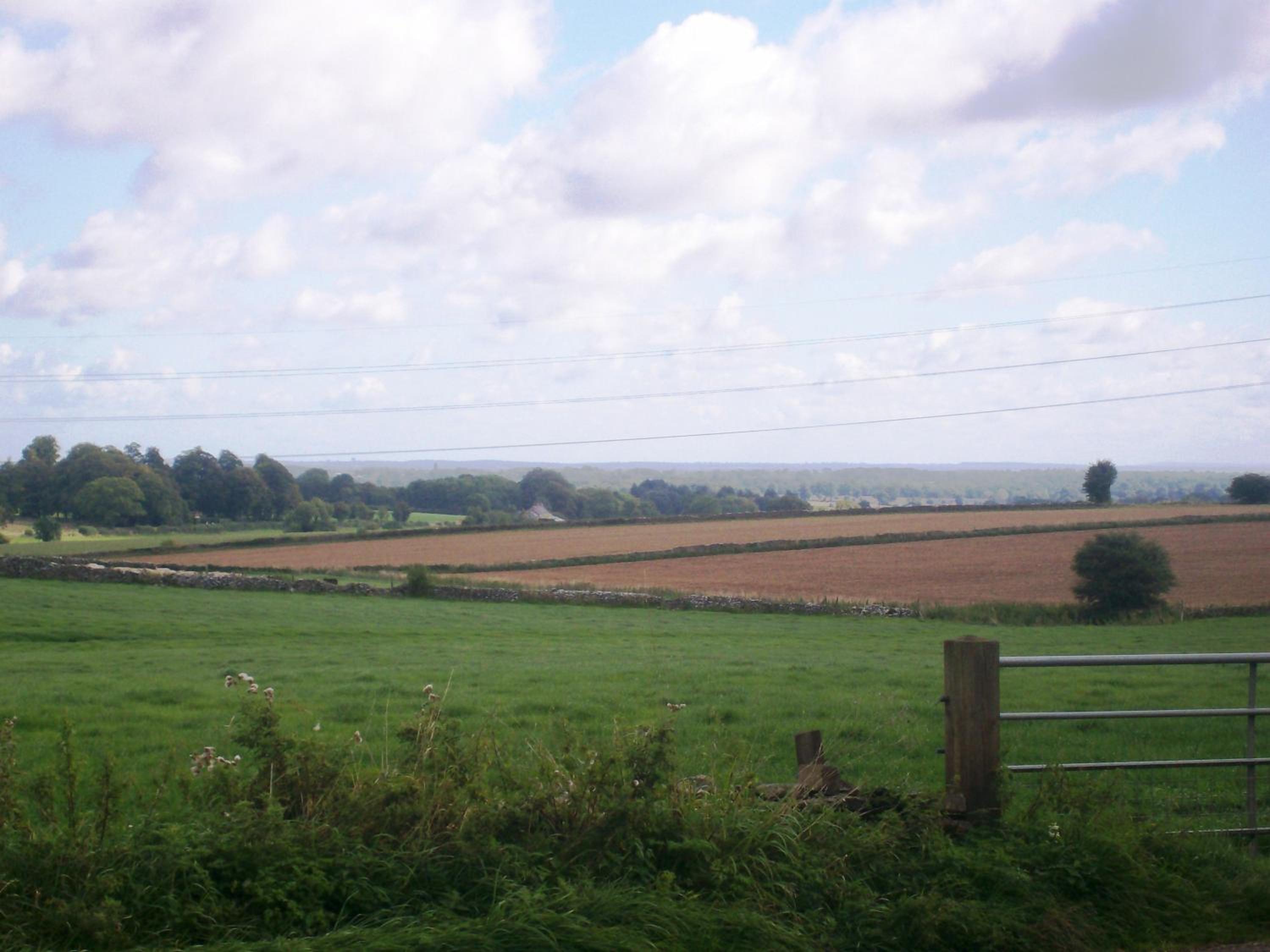 Windylands view 5