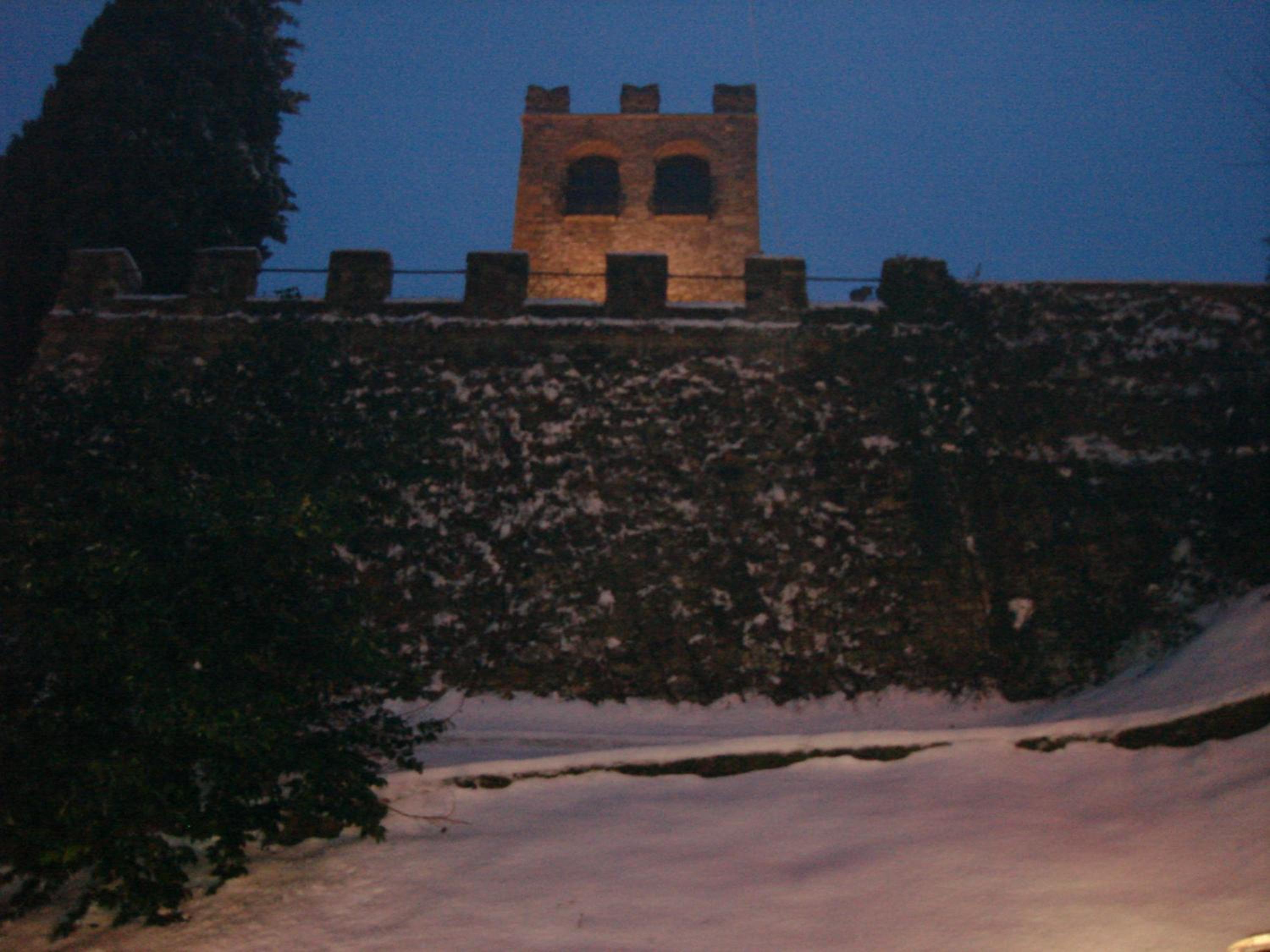 Photo 40