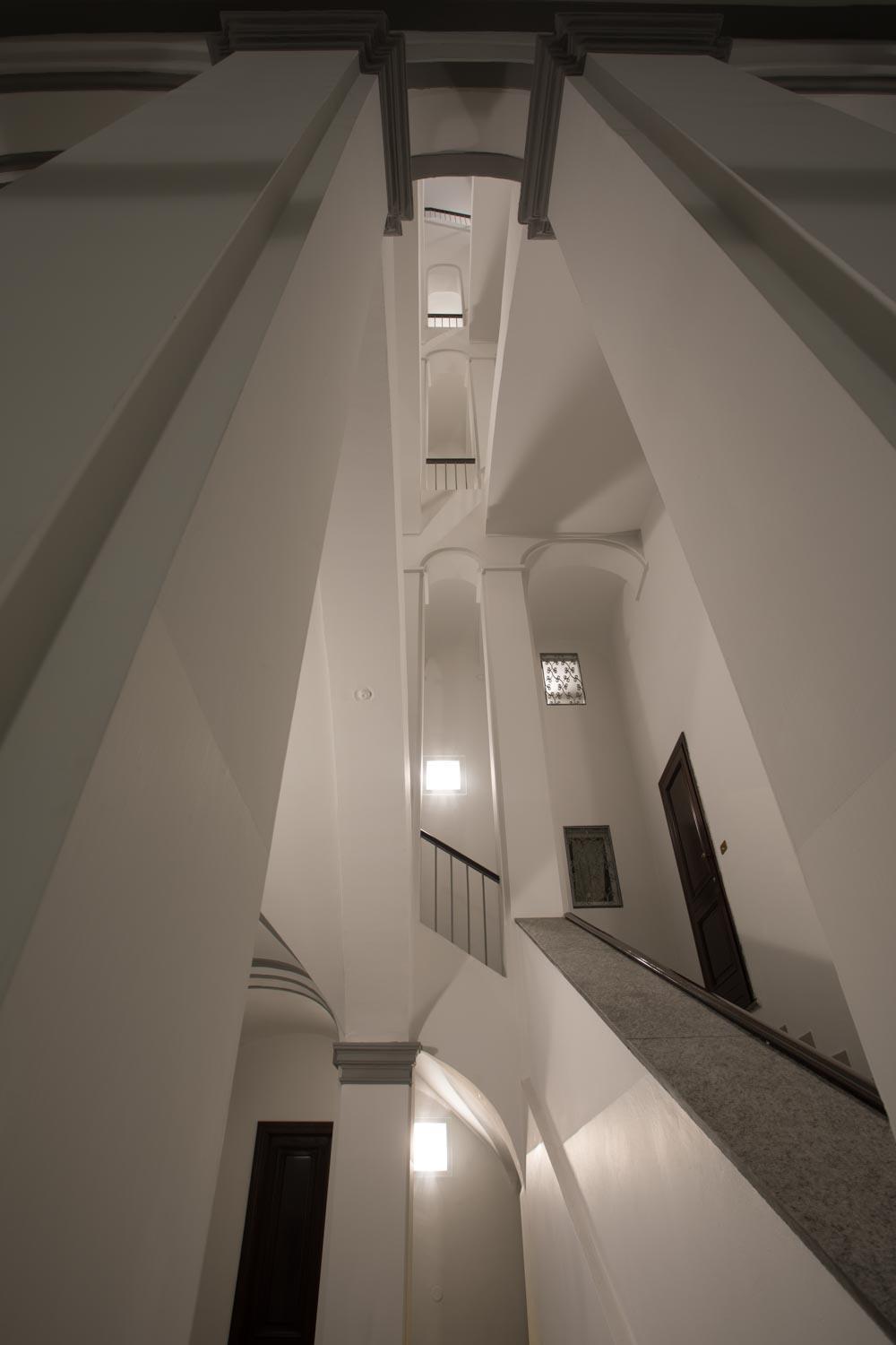 Rapanus Suites