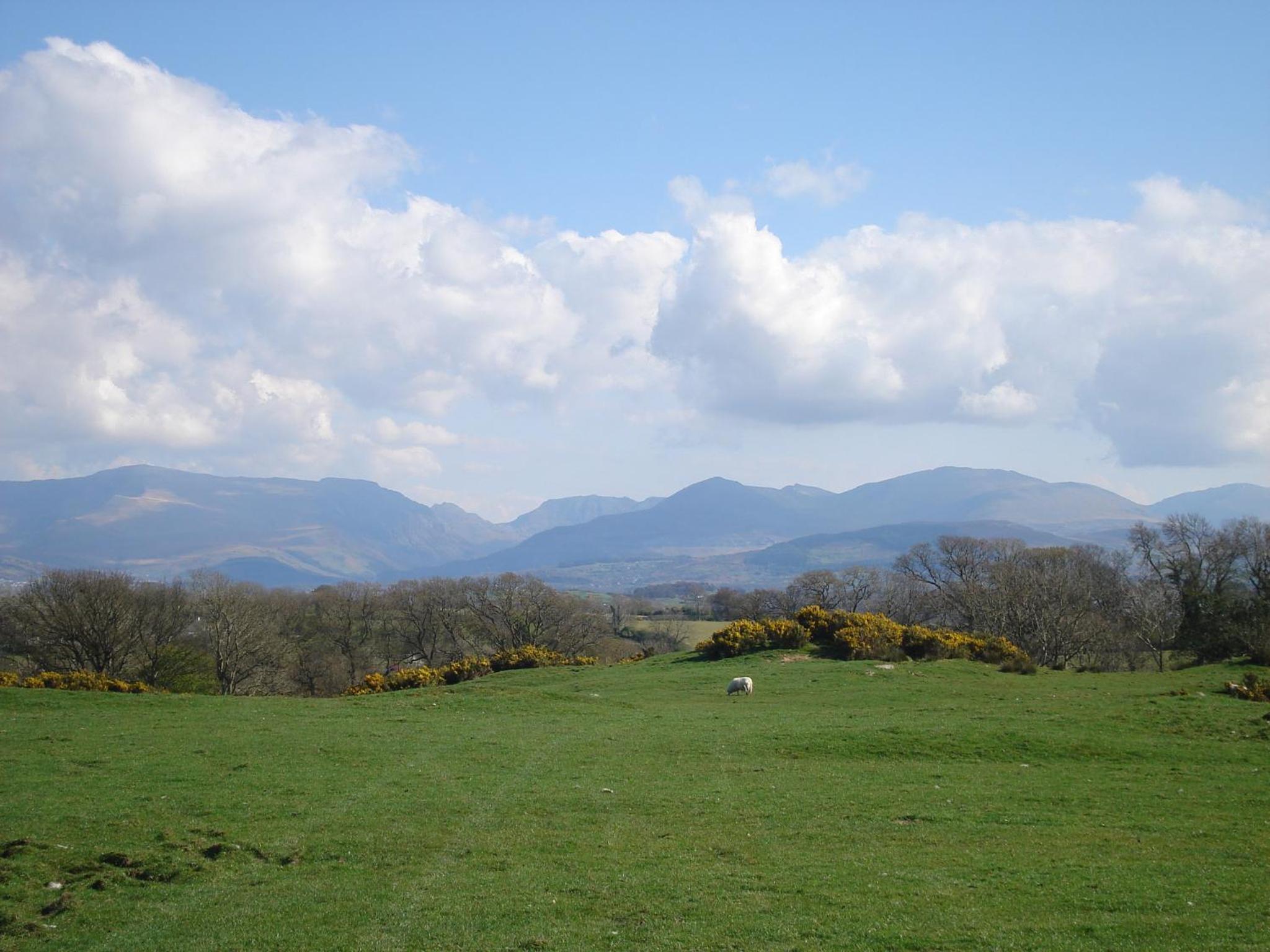 Fodol Cottages view 2