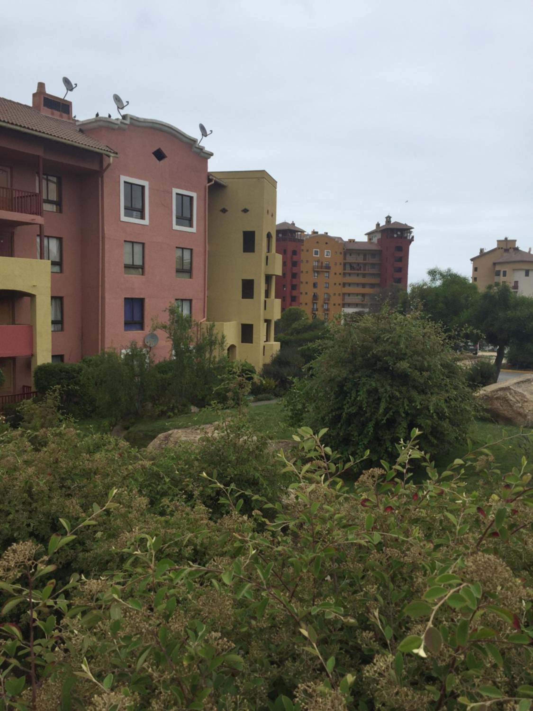 Photo 34