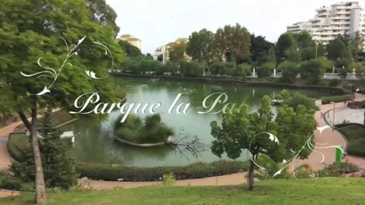 Apartamento poleo