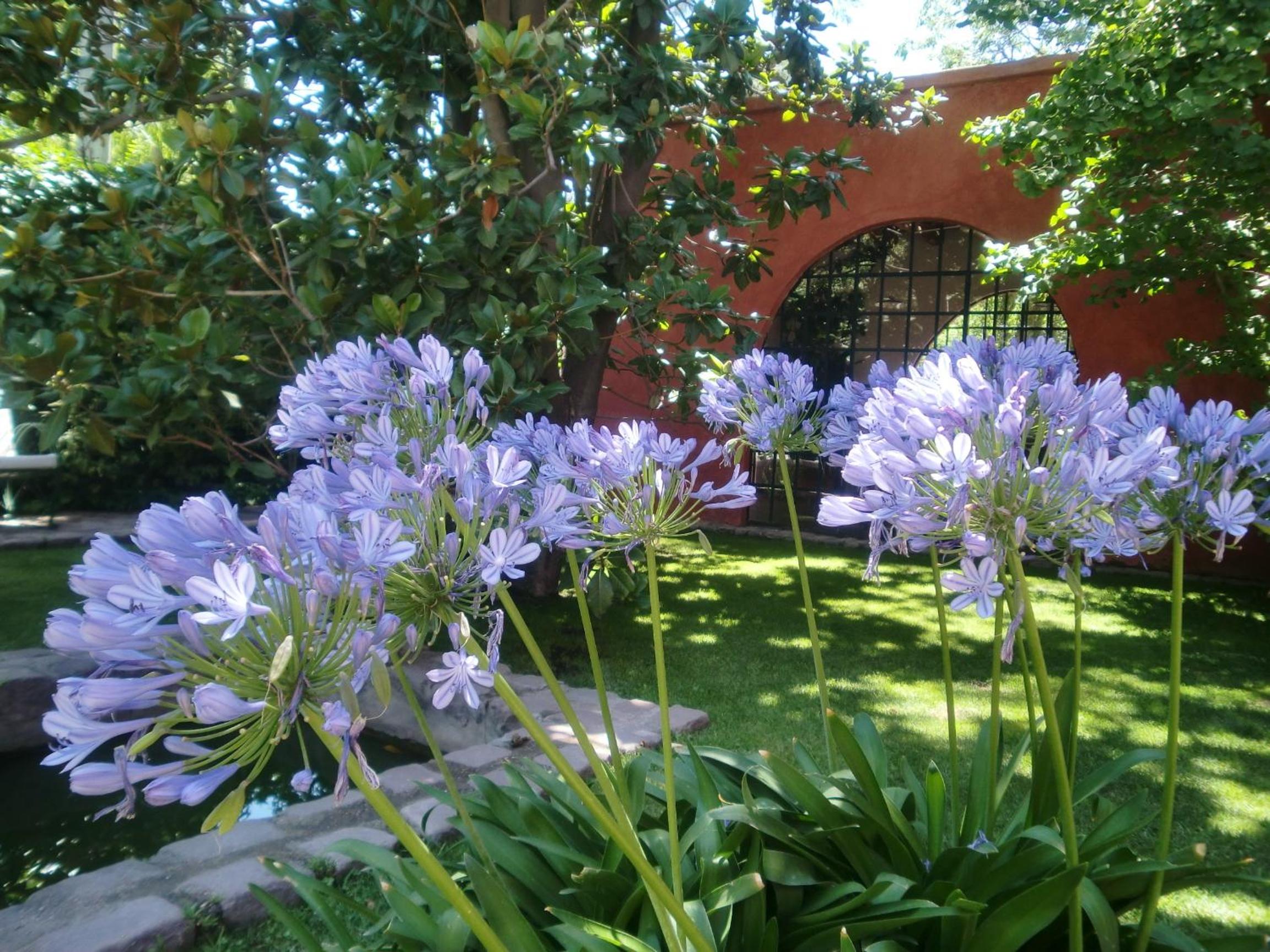 Finca Adalgisa Wine Hotel Mendoza