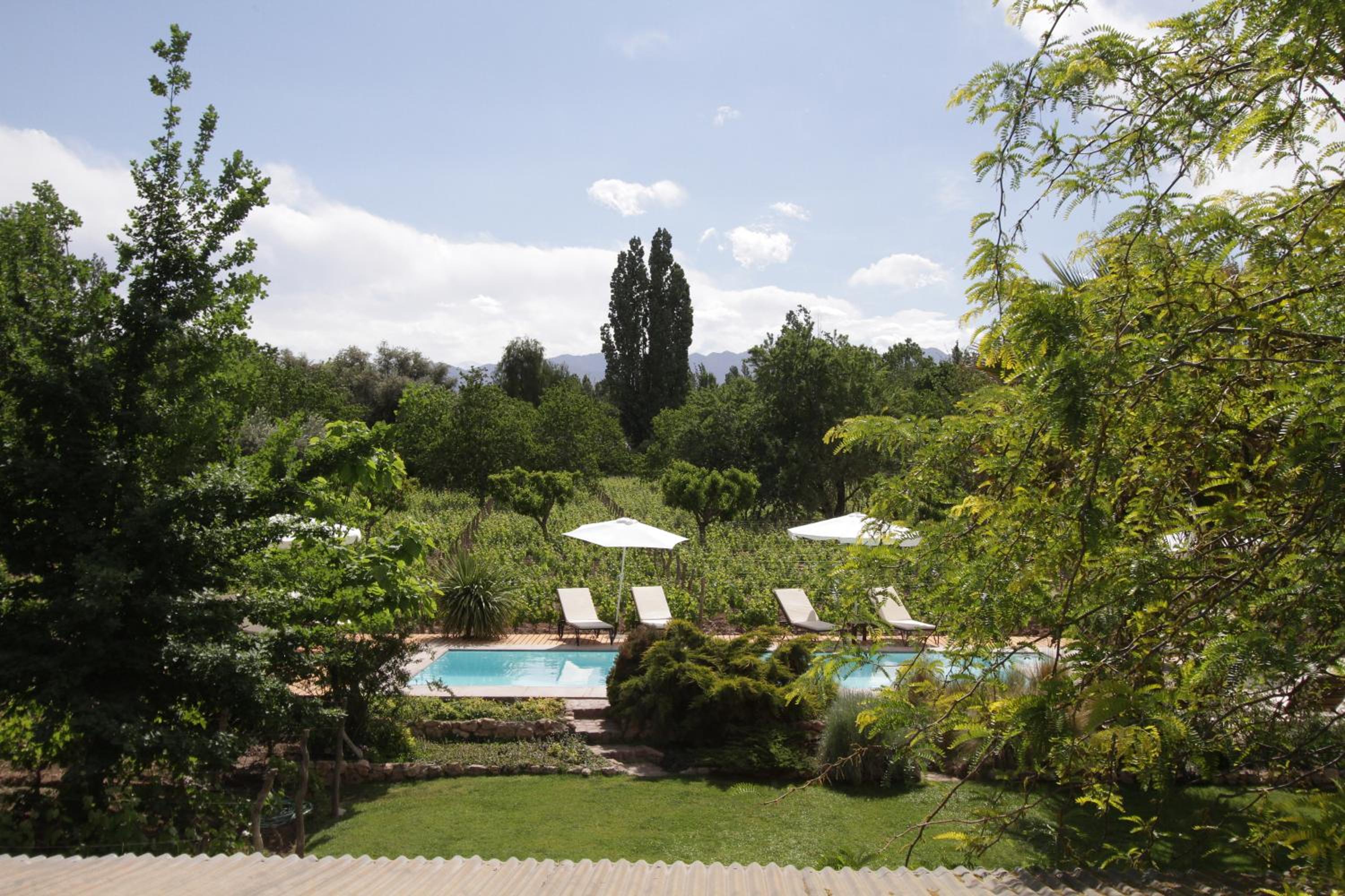Finca Adalgisa Wine Hotel Mendoza