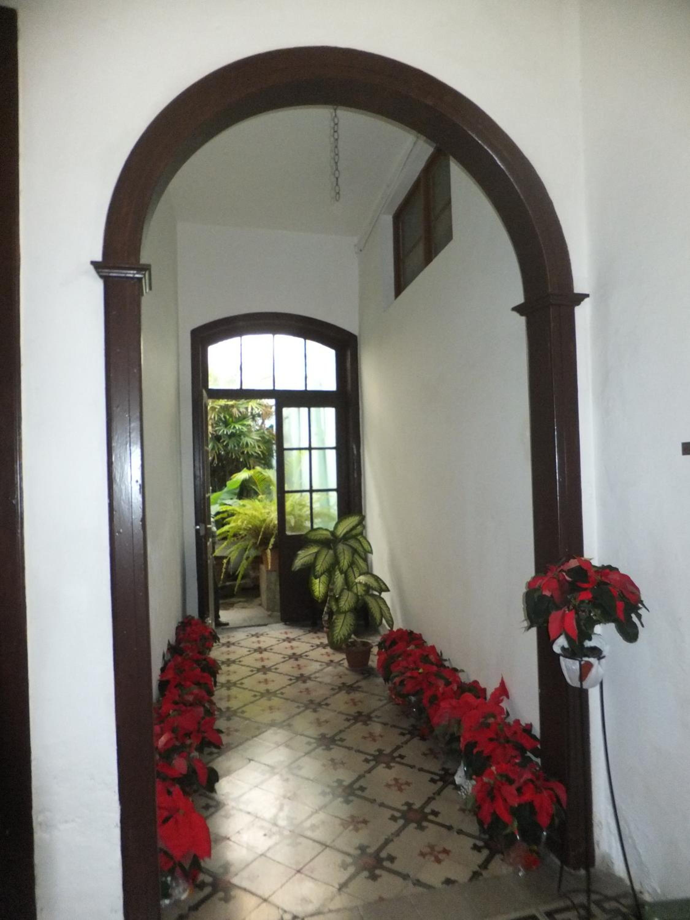 Photo 42