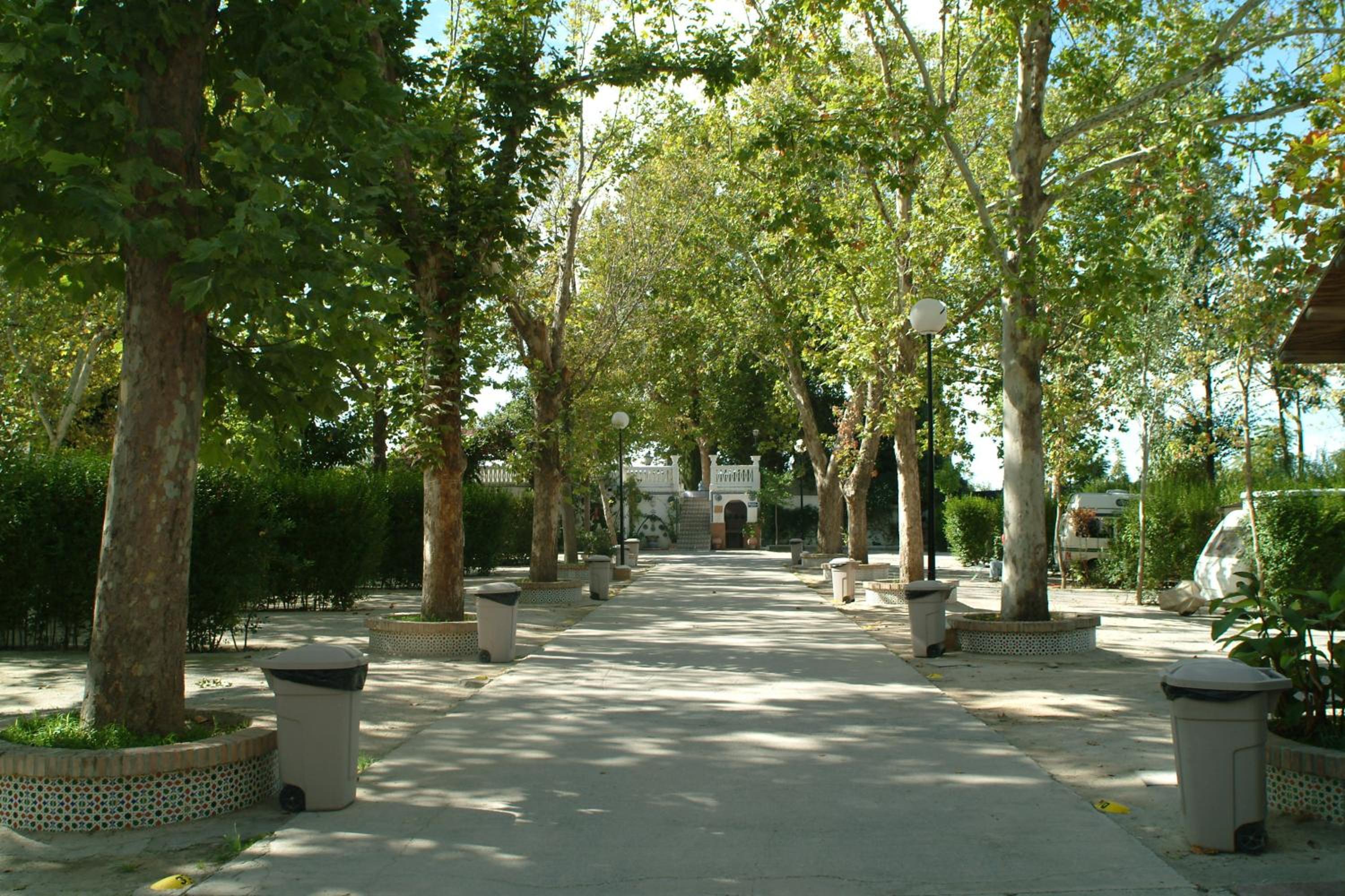 Camping Reina Isabel view 5