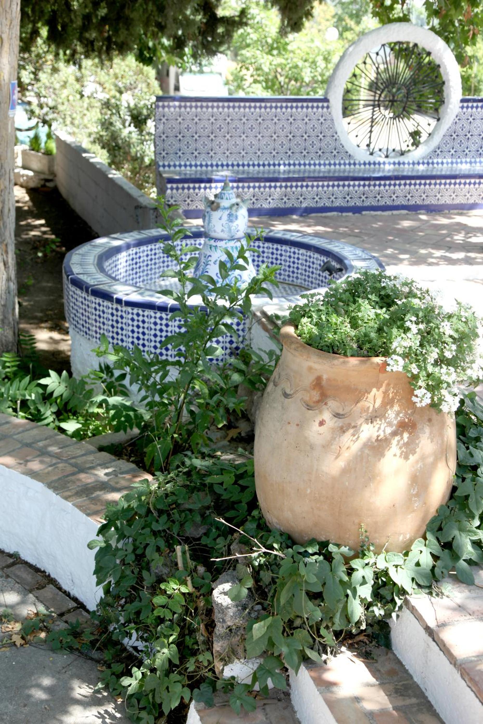 Photo 11