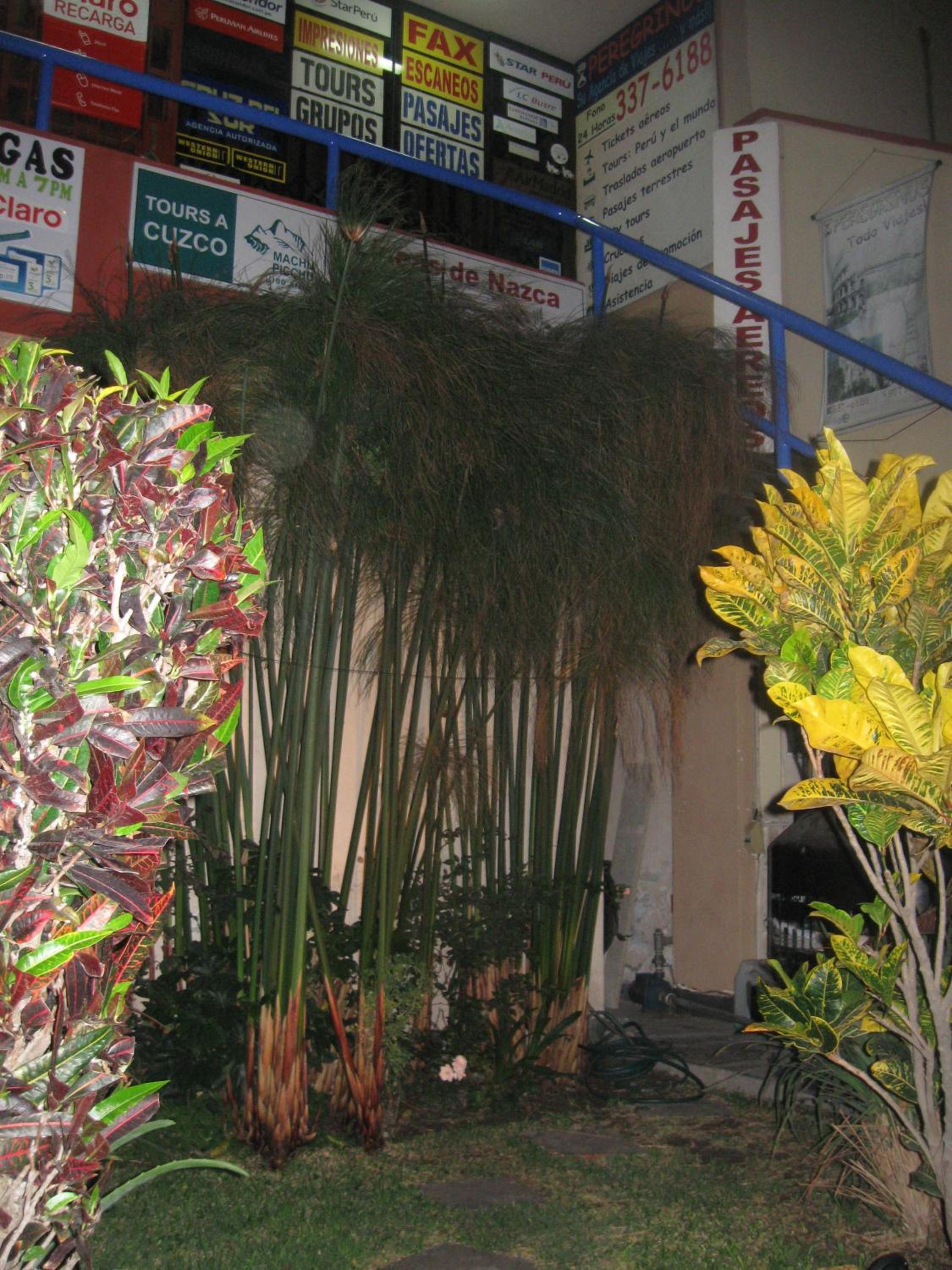 Photo 25