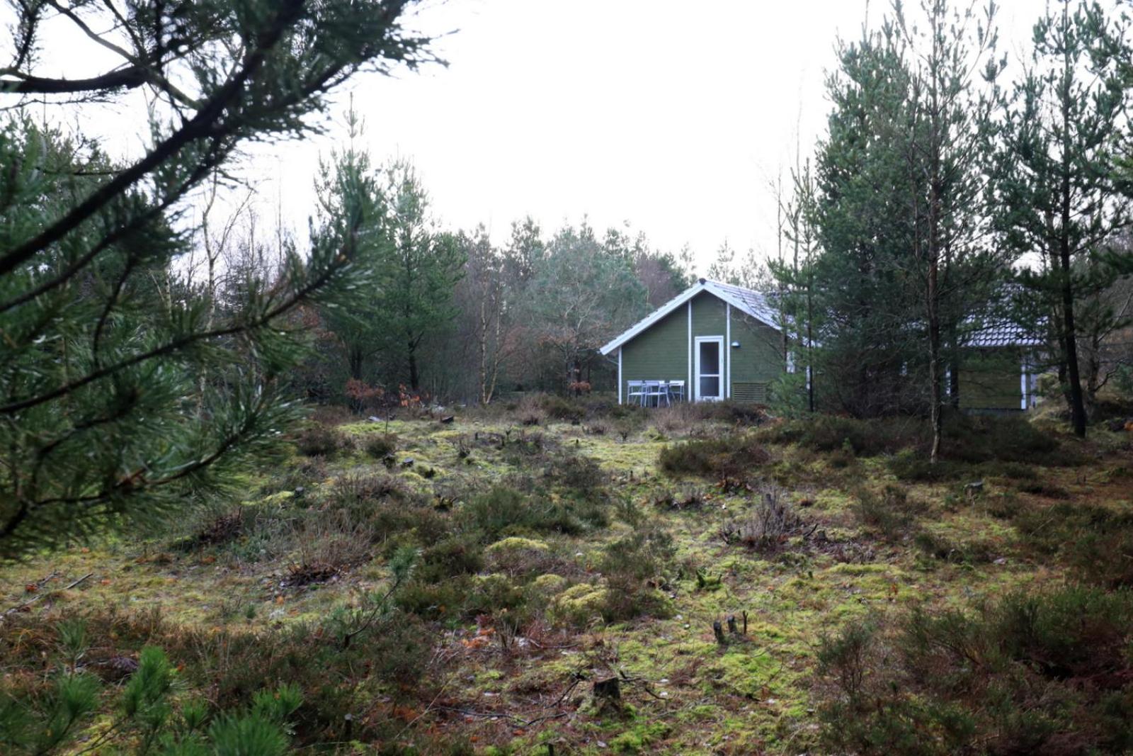 Photo 7