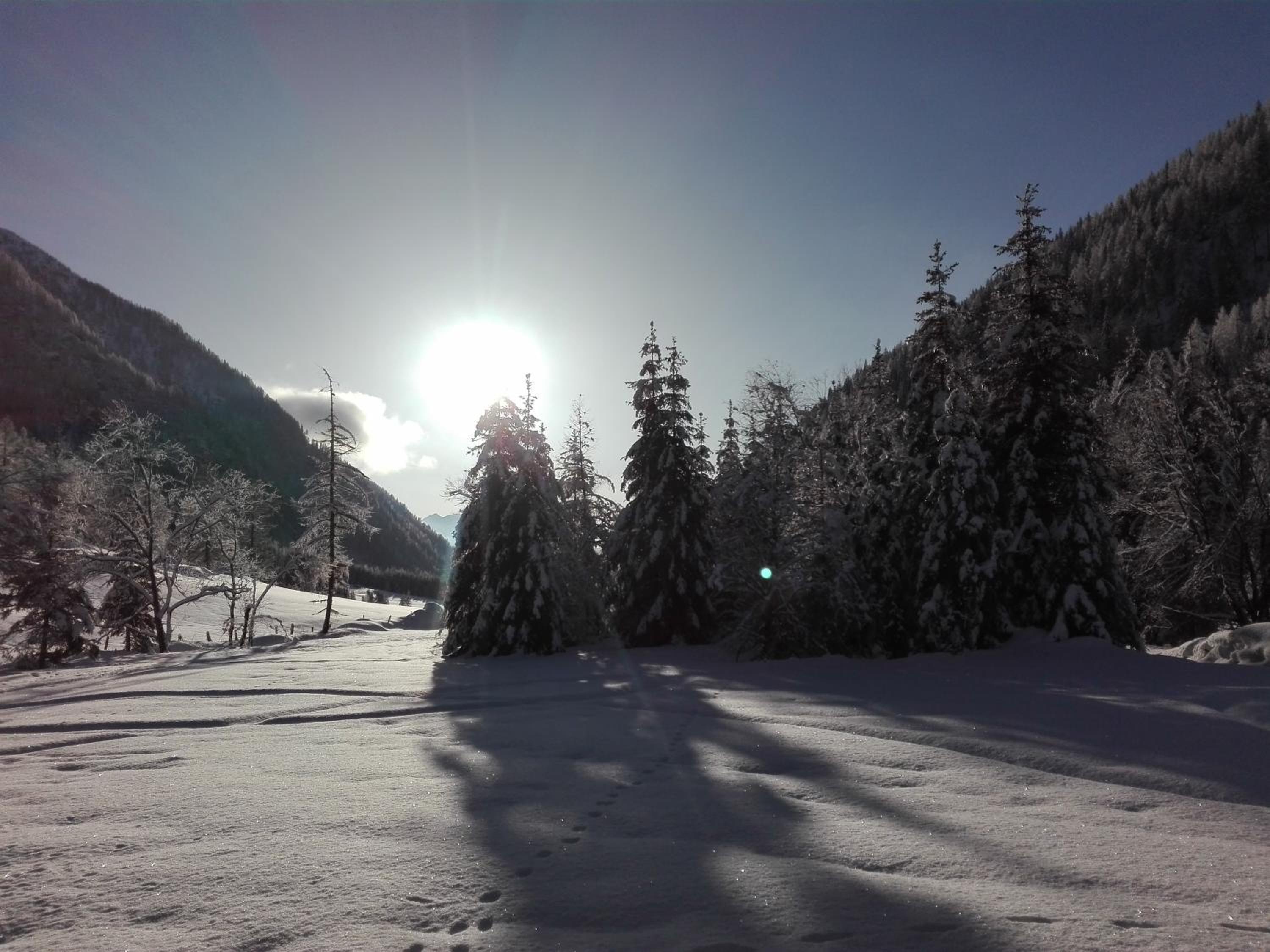Bed & Breakfast Dolomiti Bey Haus Pinter