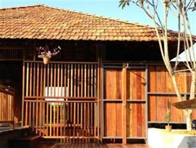 The Shorea