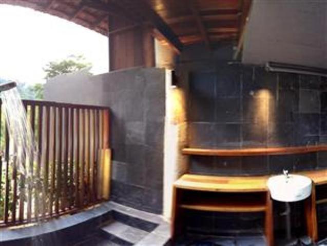 The Shorea