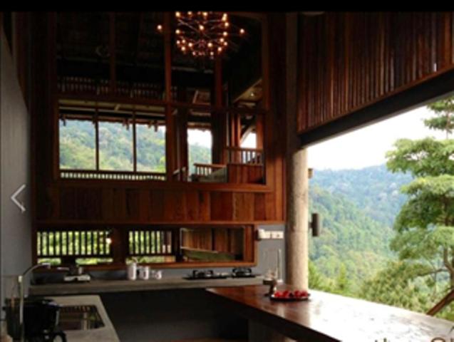 The Shorea