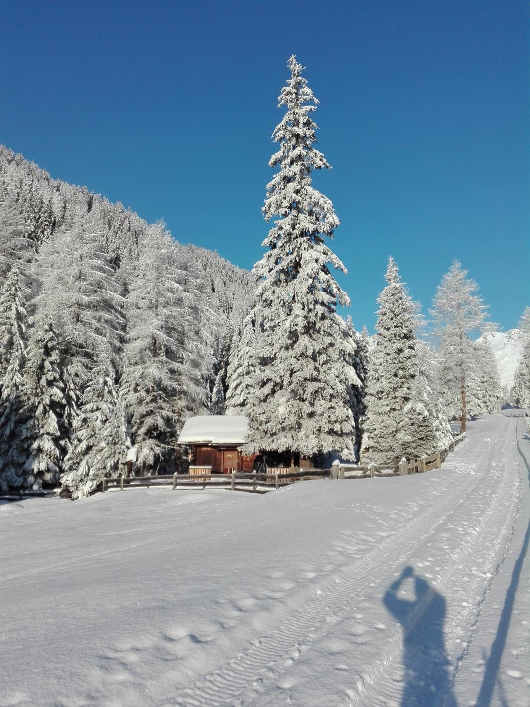 Bed & Breakfast Dolomiti Bey Haus Pinter