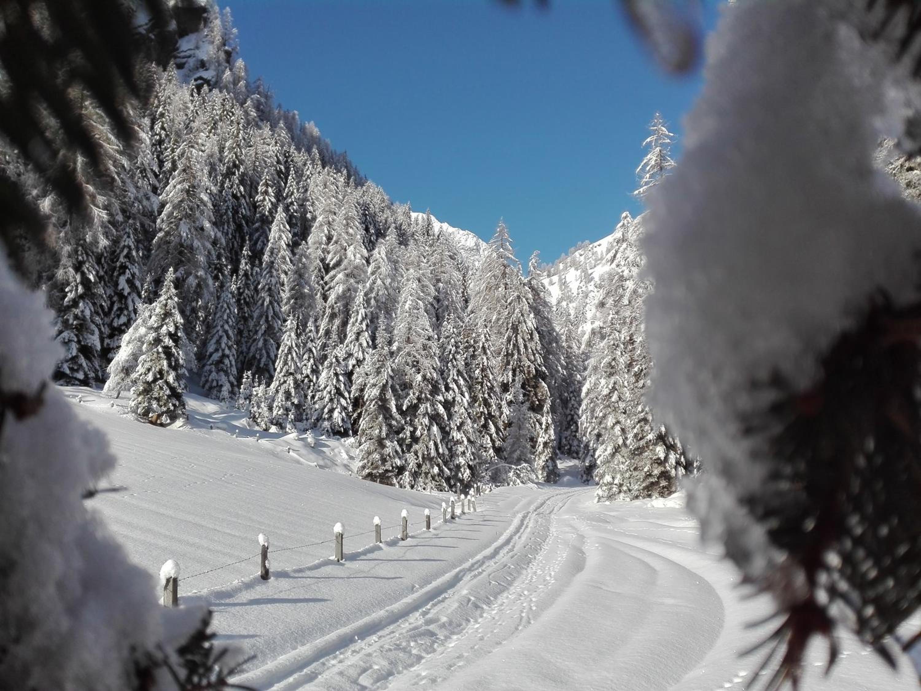 Bed & Breakfast Dolomiti Bey Haus Pinter