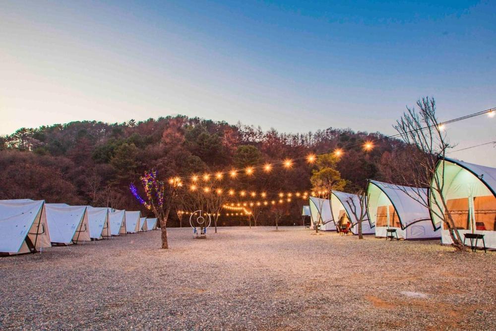 Gapyeong The Camp Caravan Glamping