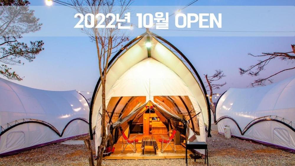 Gapyeong The Camp Caravan Glamping