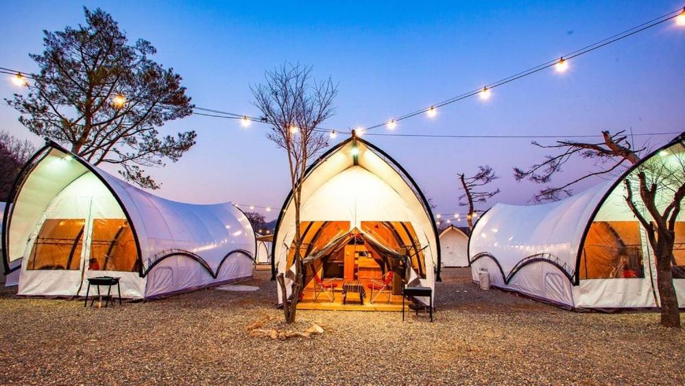 Gapyeong The Camp Caravan Glamping