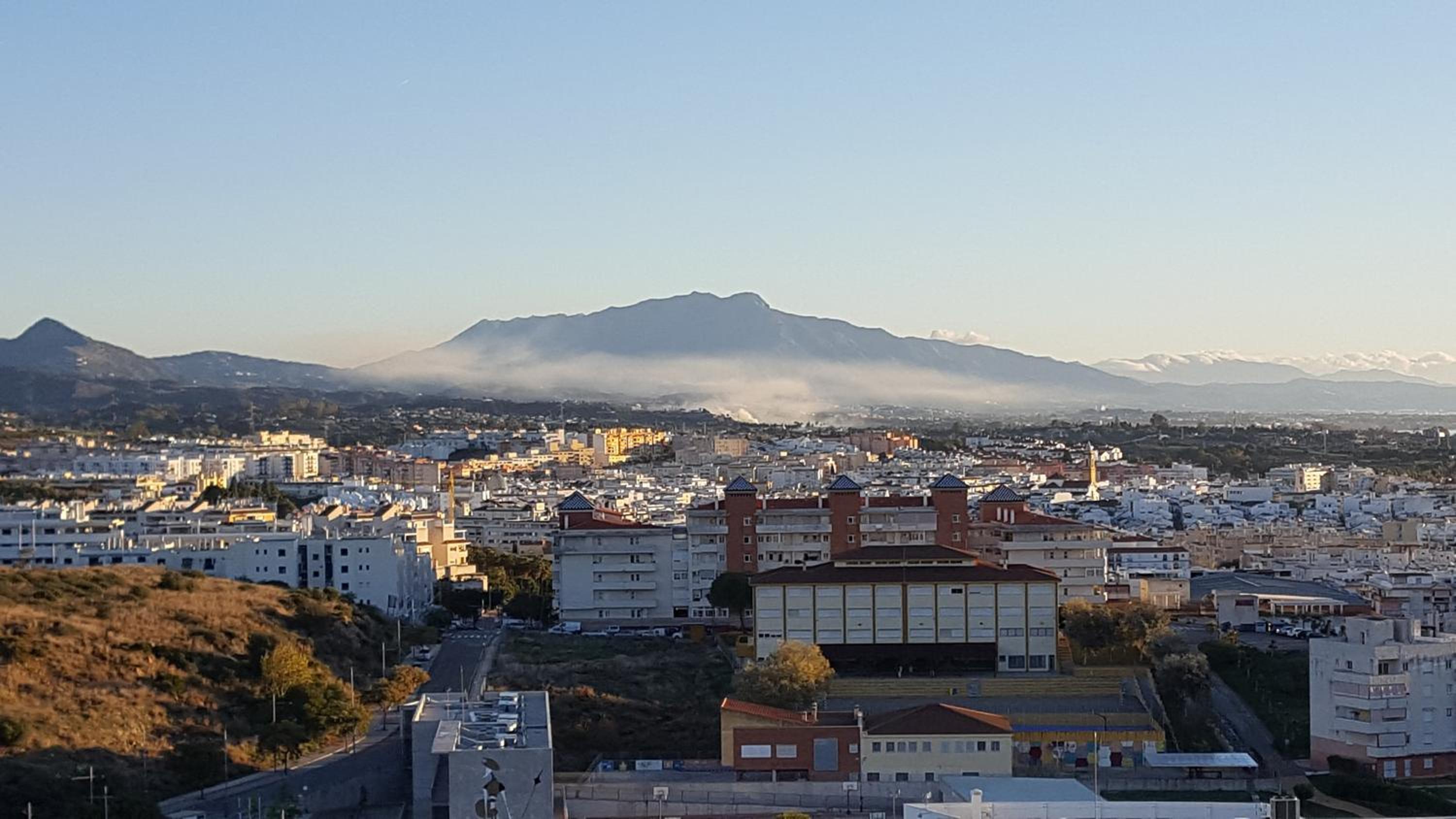 Jabeque
