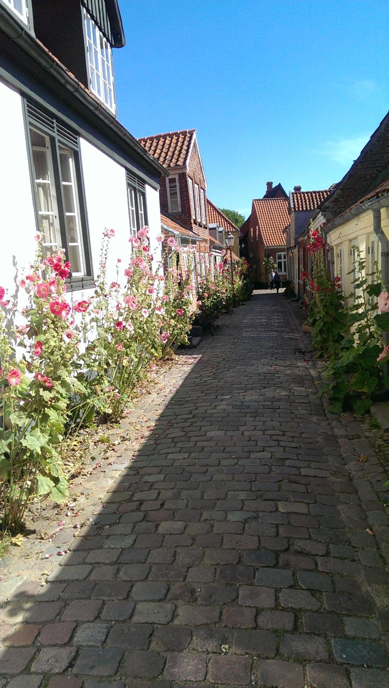Peder Dovns Slippe view 3