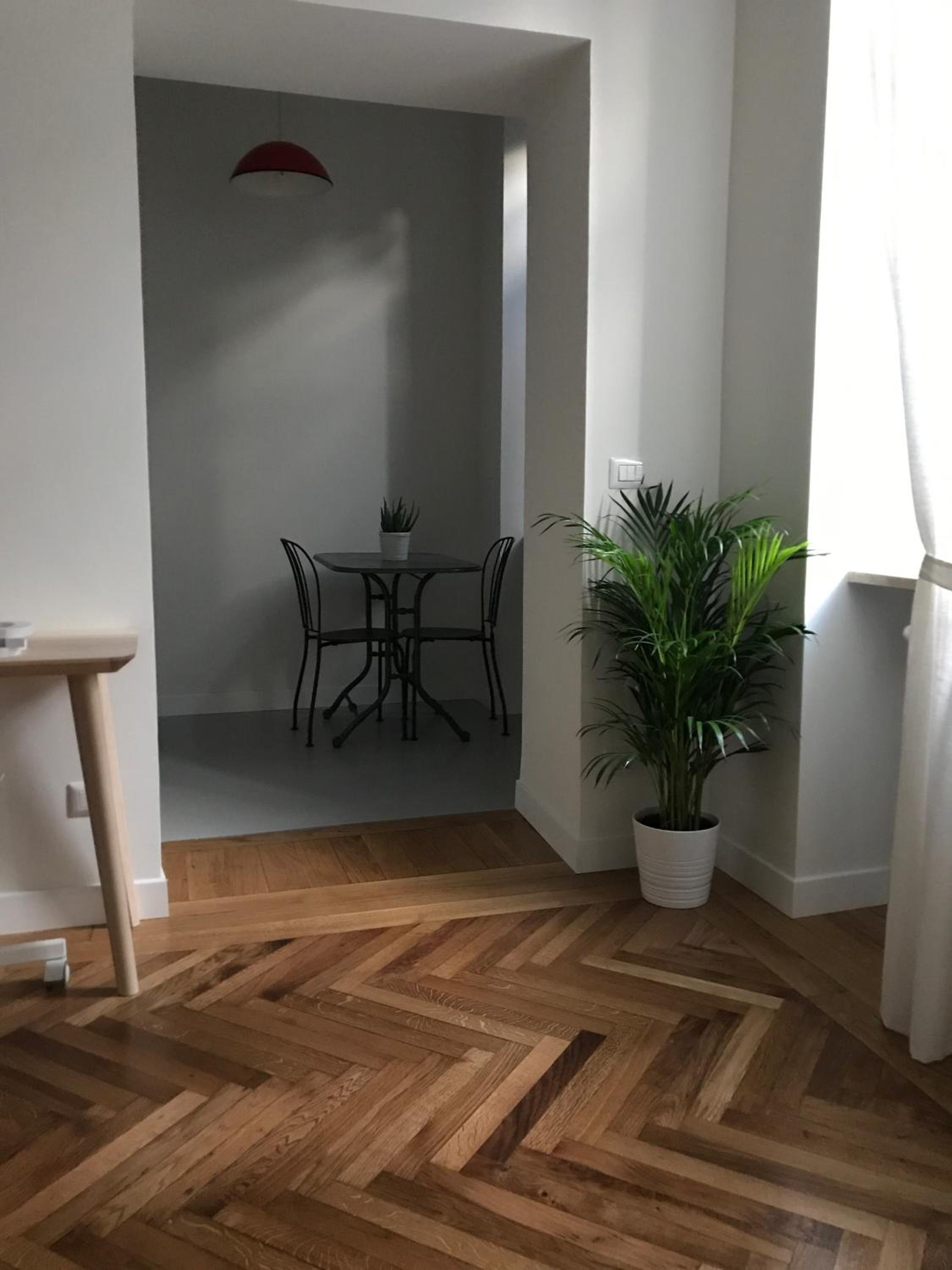 Rapanus Suites