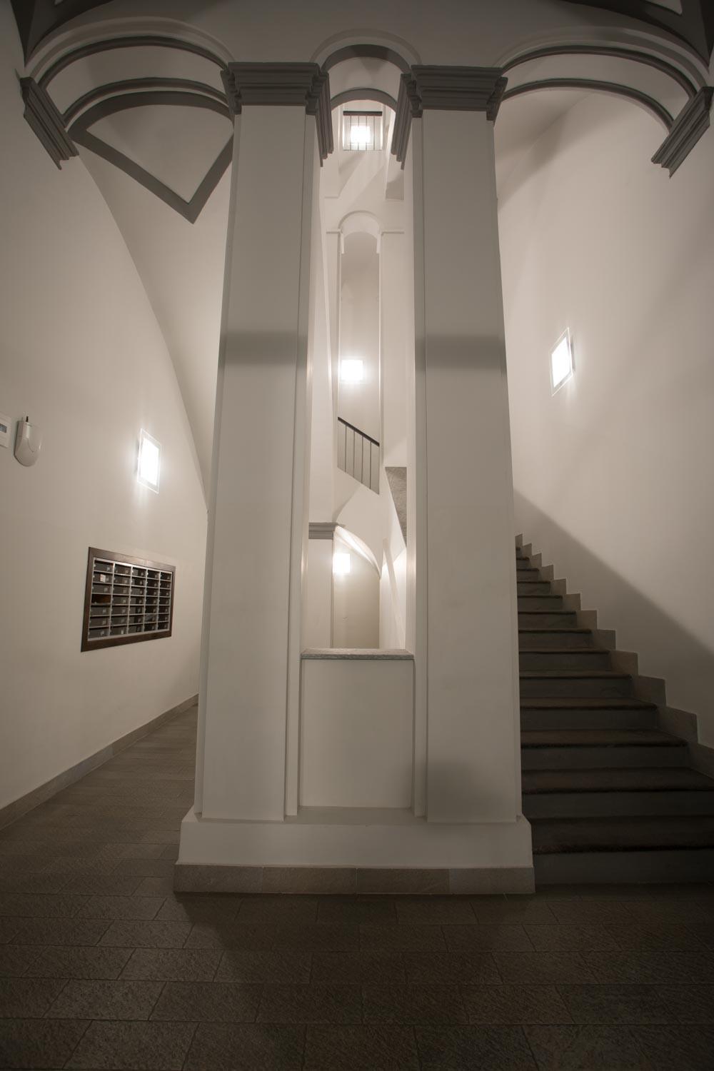 Rapanus Suites