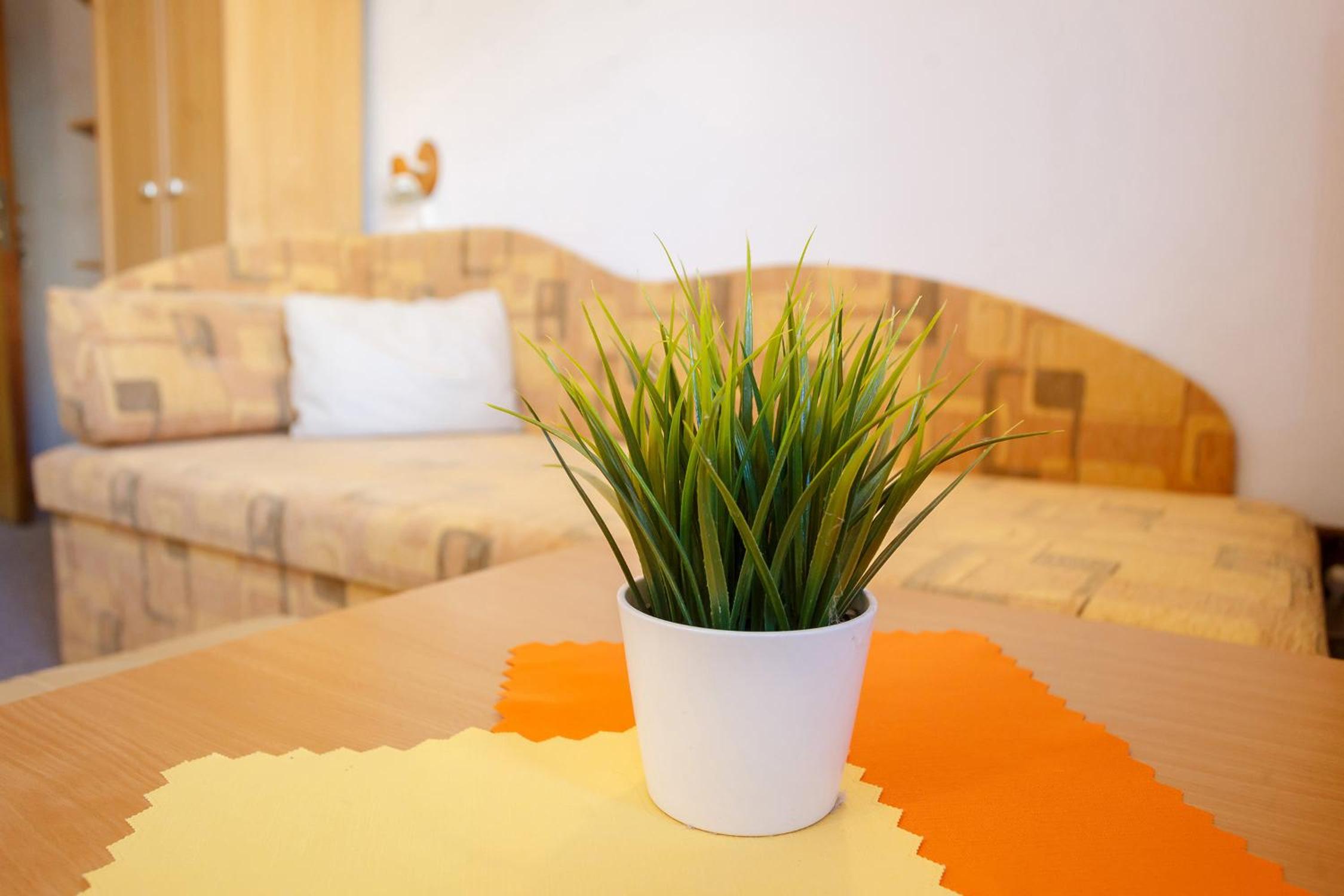 Pension Kraus, photo 62